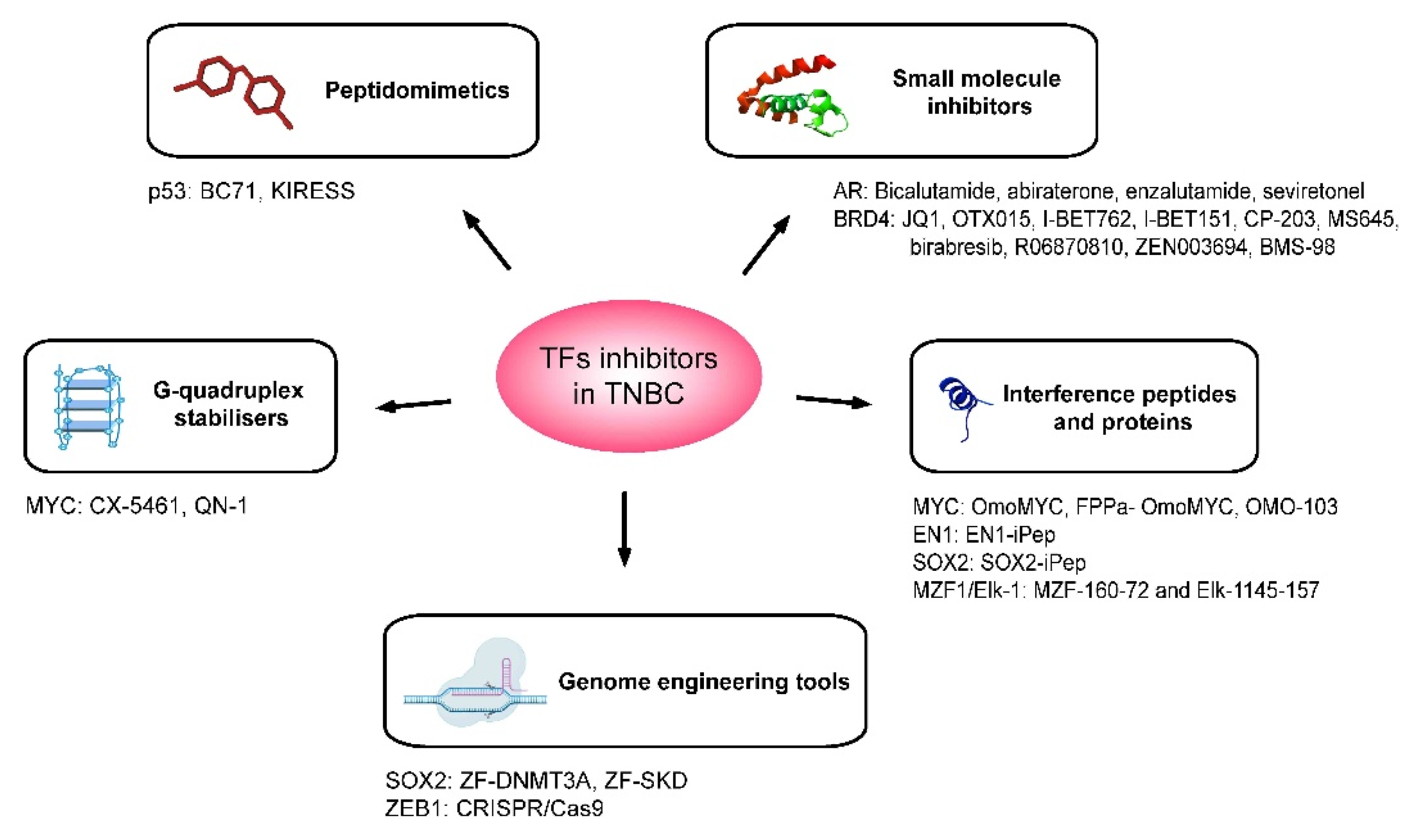 Cancers 14 01101 g002 550
