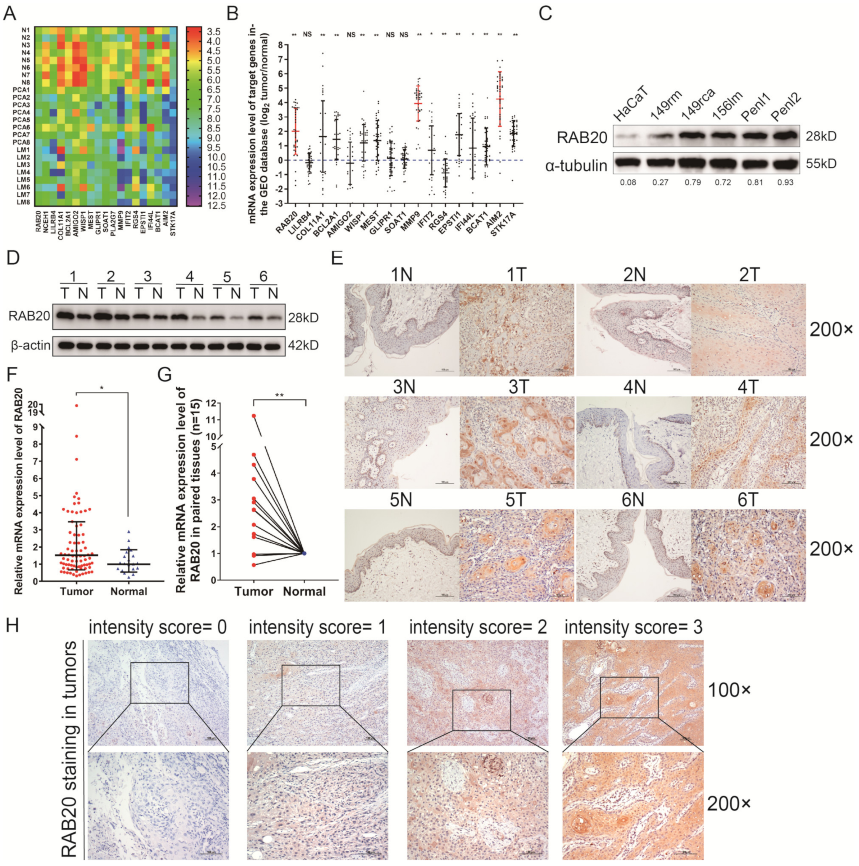Cancers 14 01106 g001