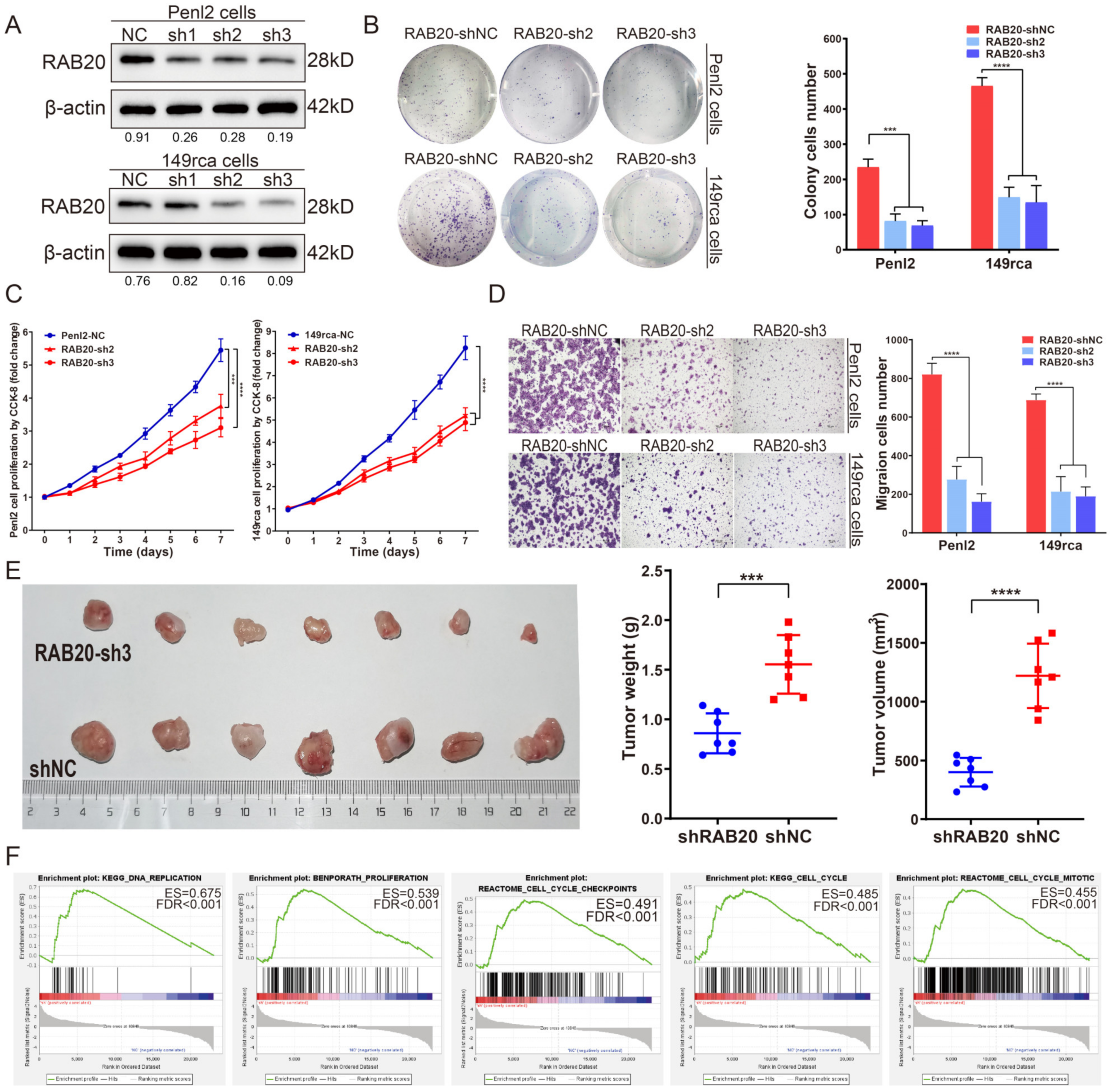 Cancers 14 01106 g003