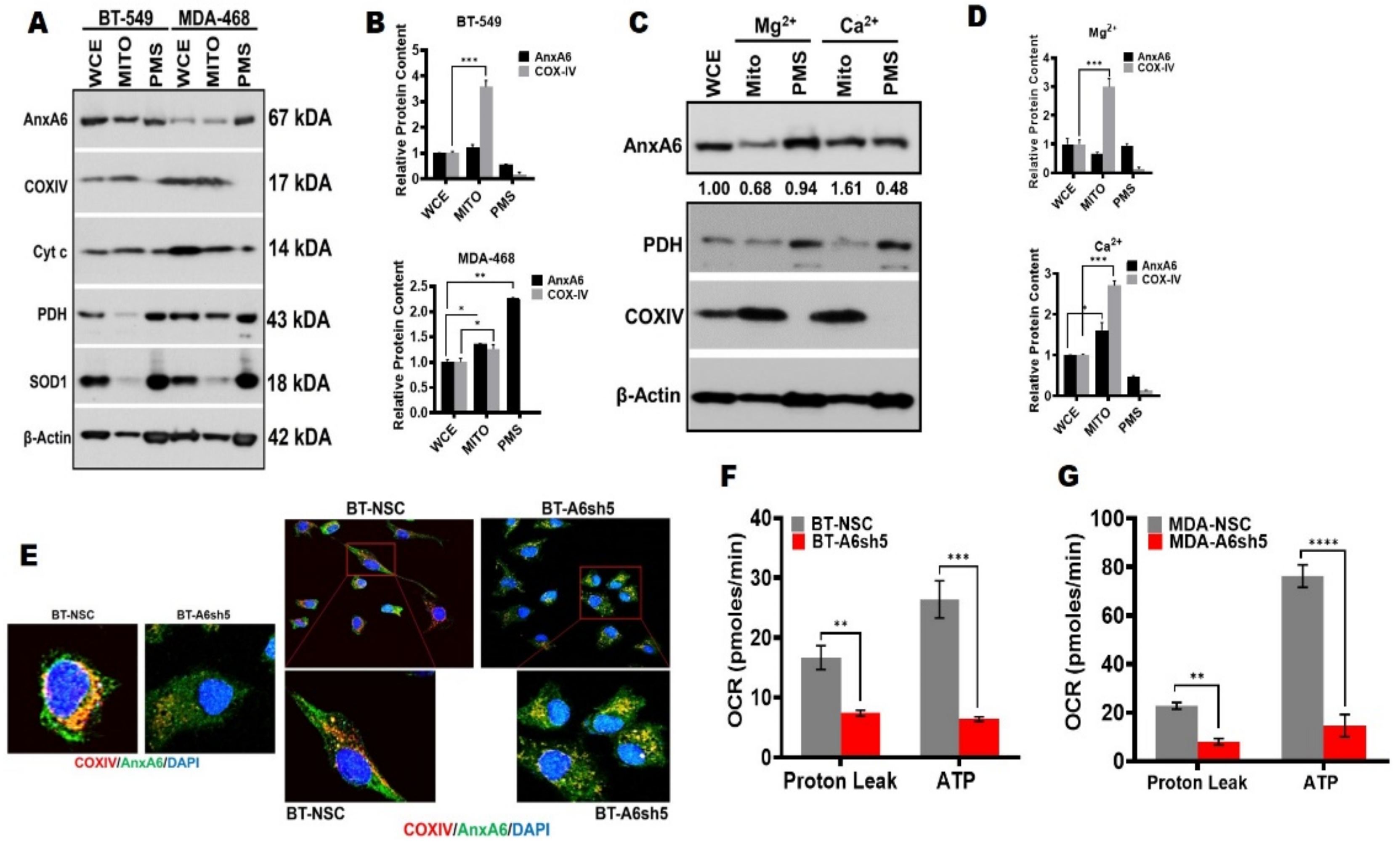 Cancers 14 01108 g003