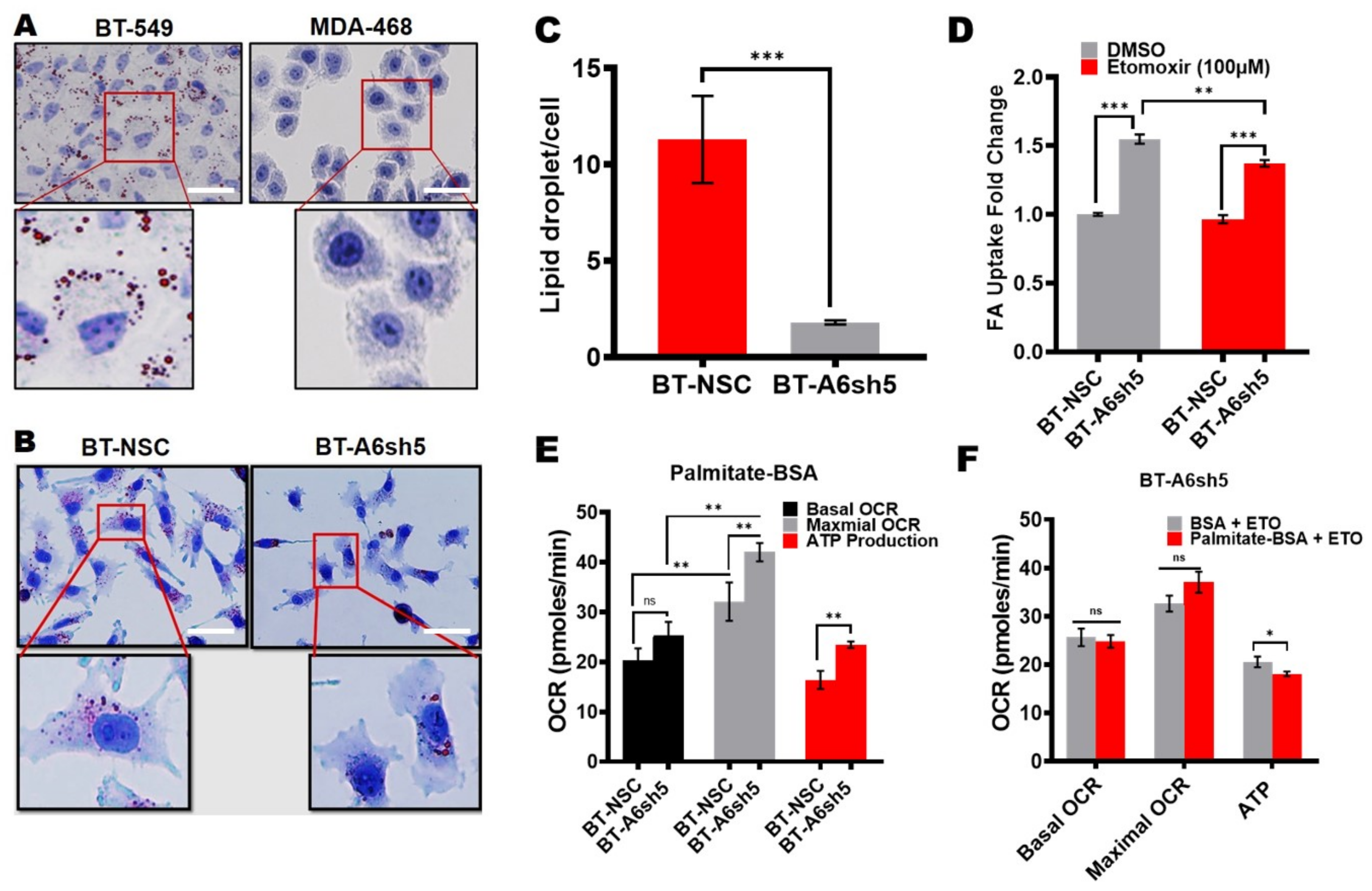 Cancers 14 01108 g004