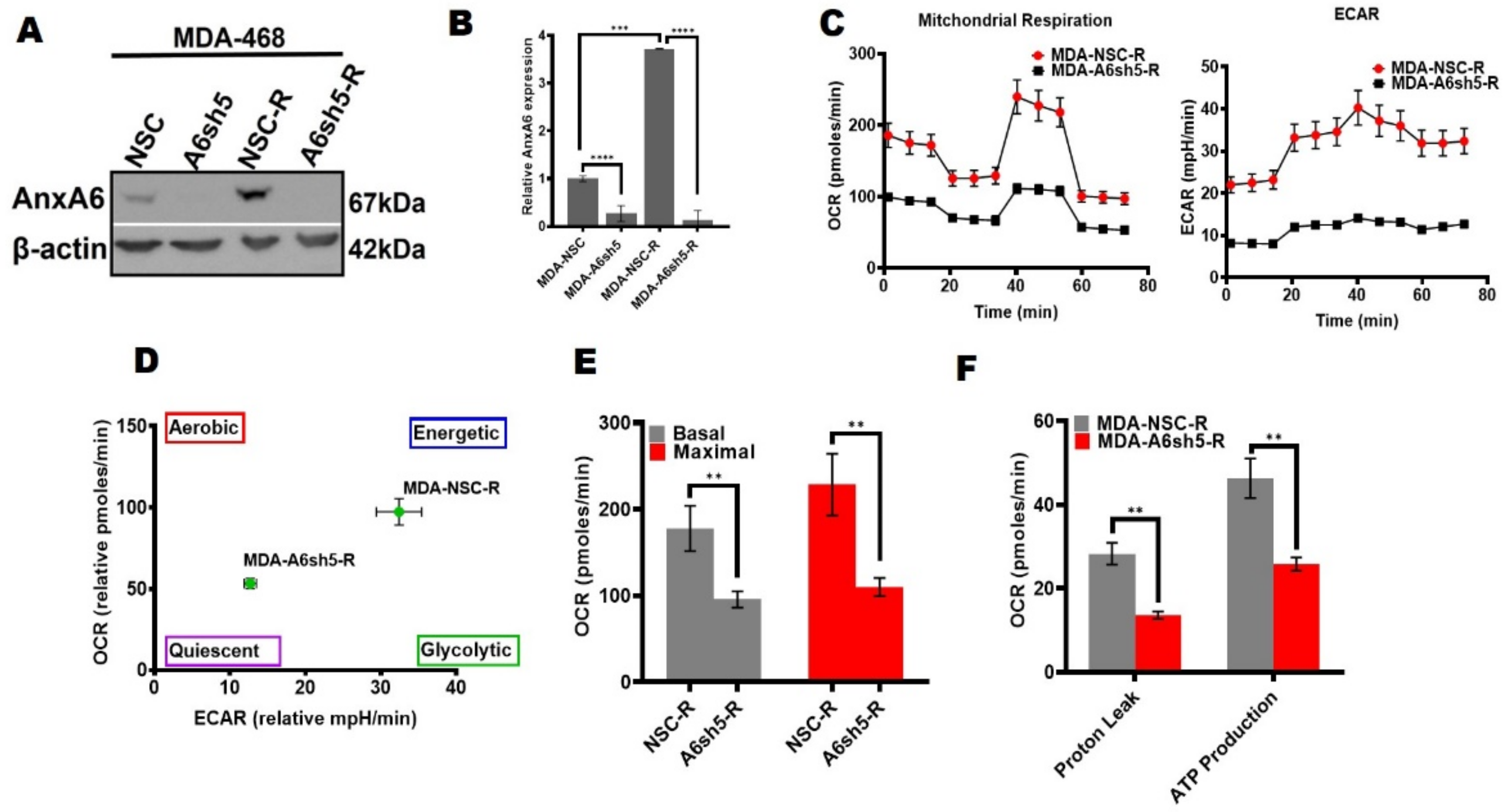 Cancers 14 01108 g005
