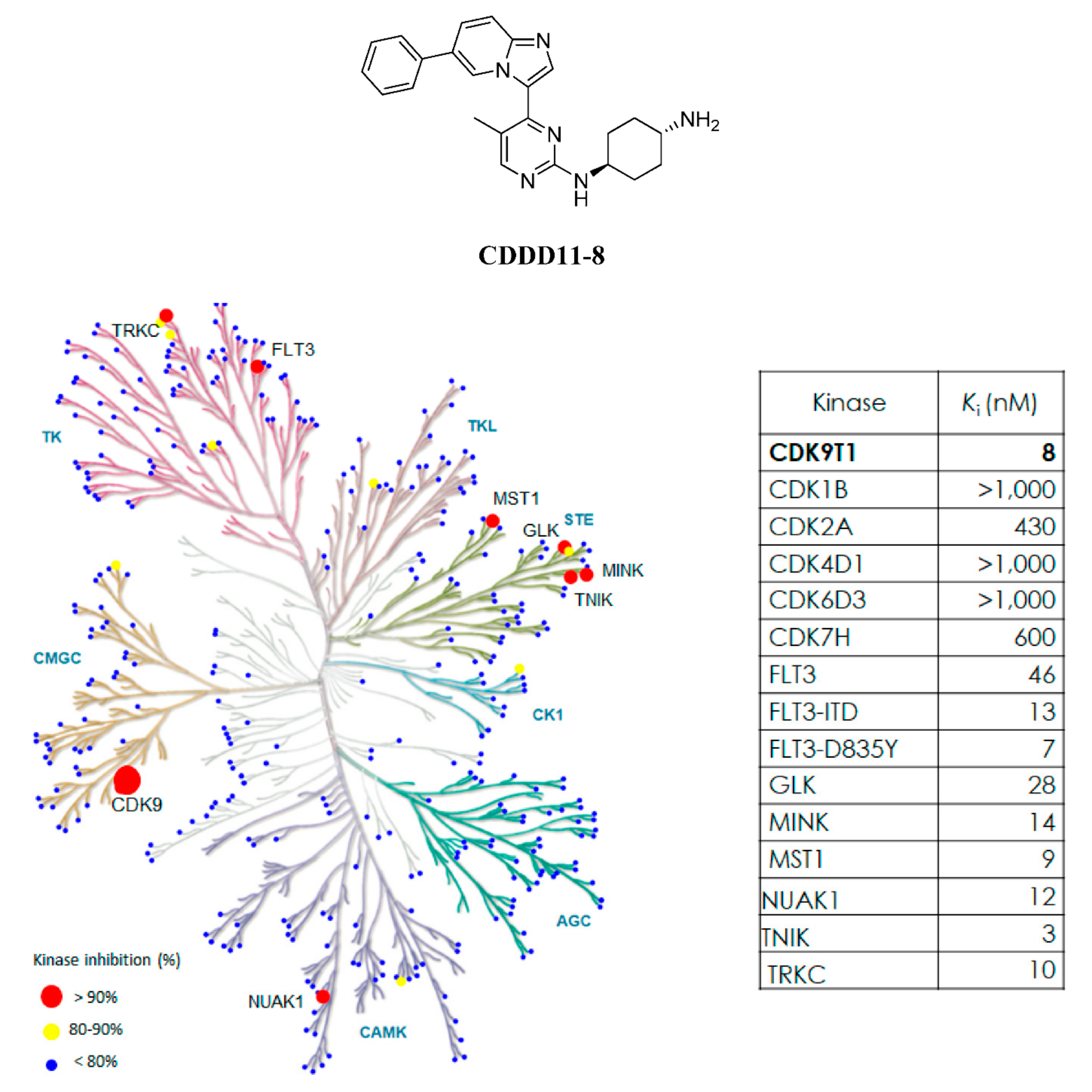 Cancers 14 01113 g001 550