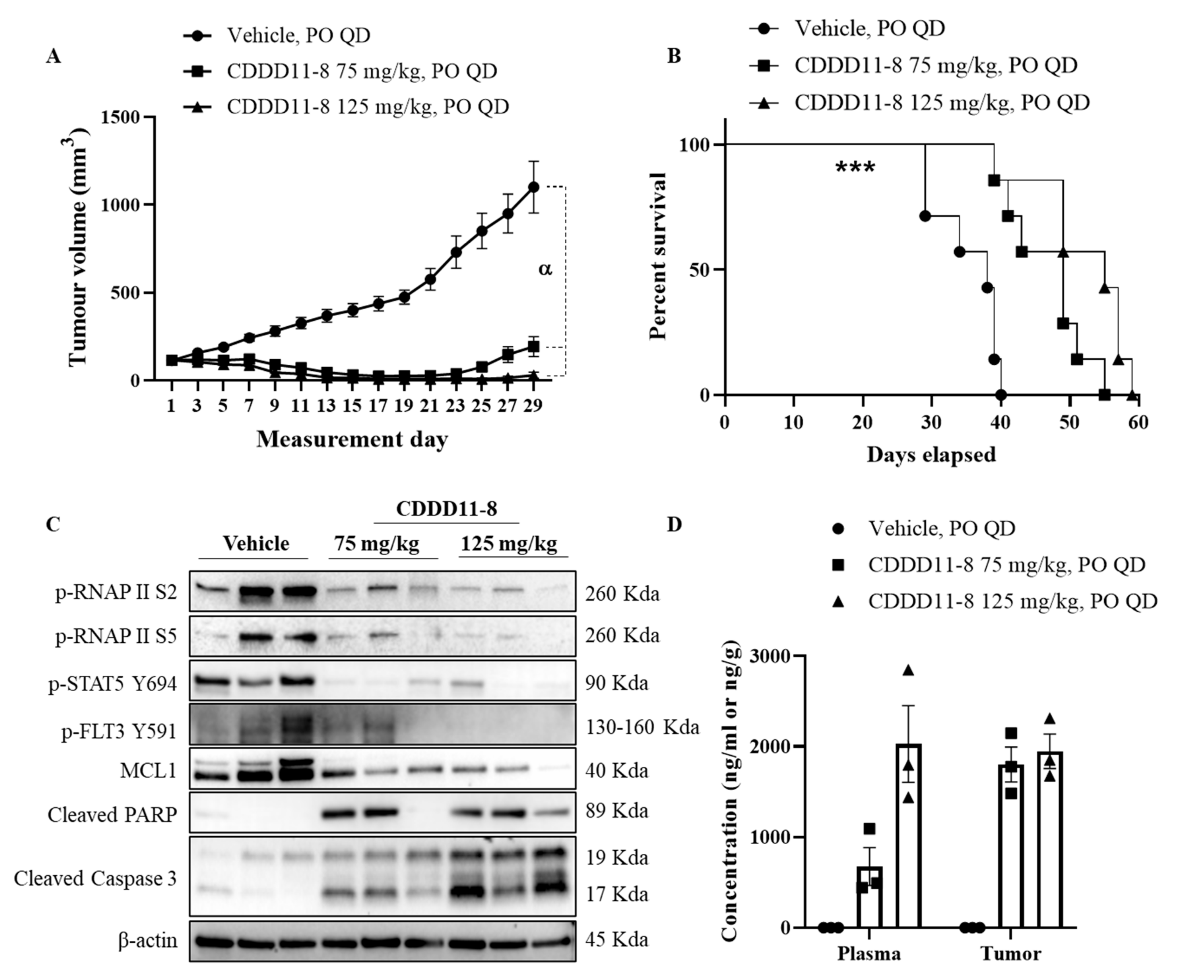 Cancers 14 01113 g004 550