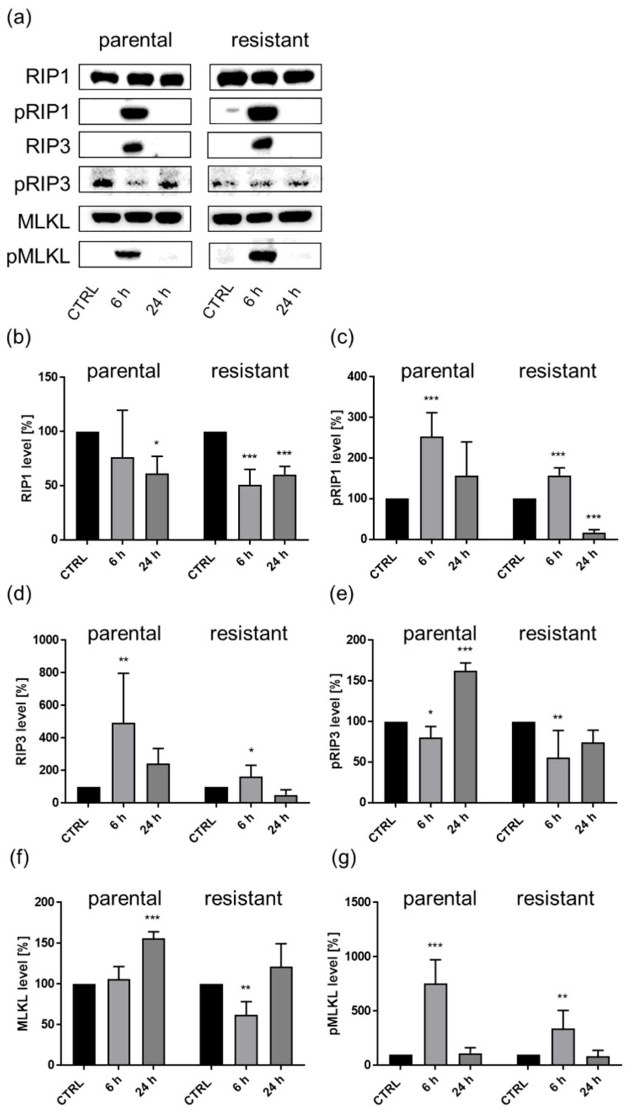 Cancers 14 01114 g010