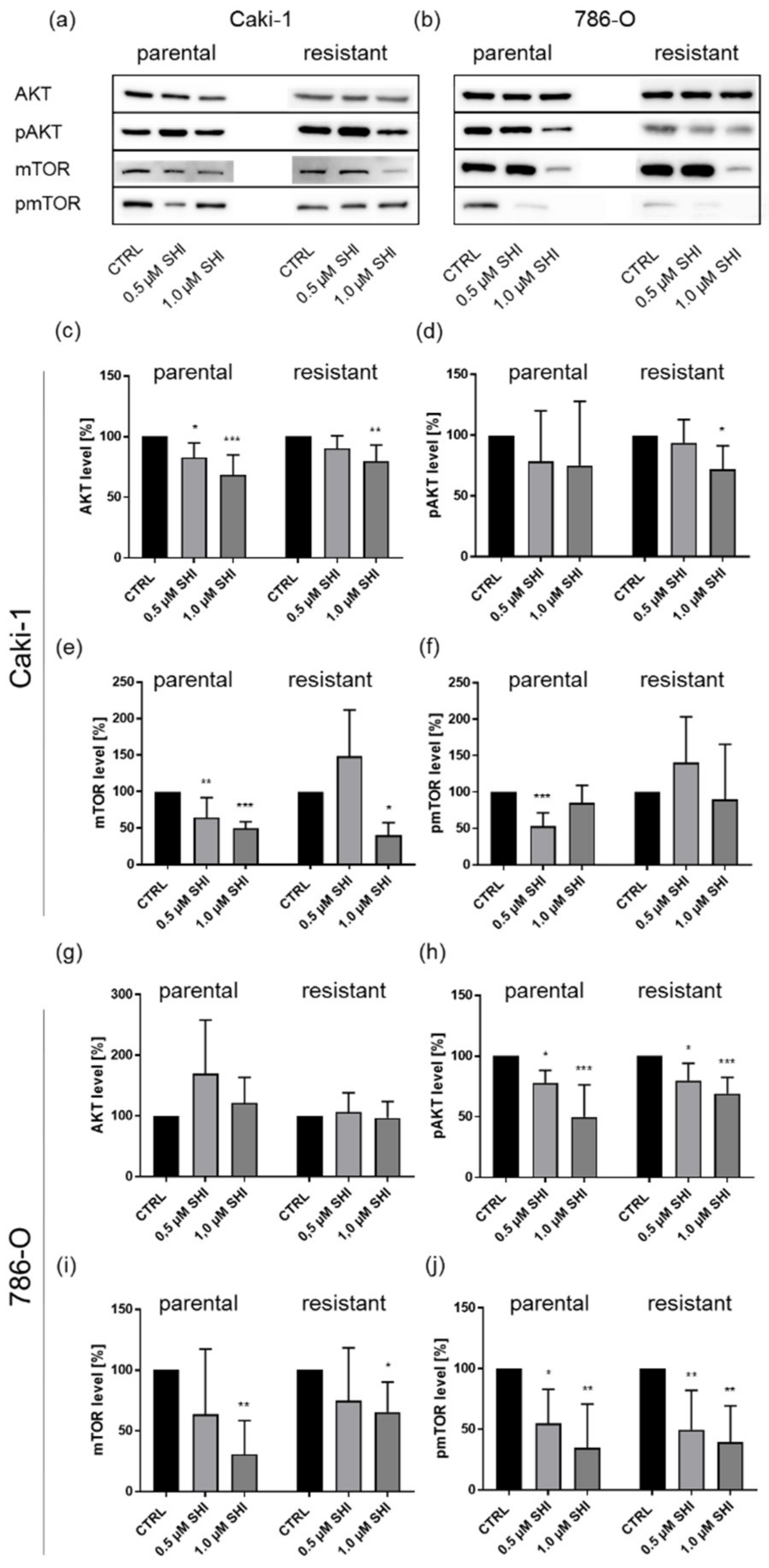 Cancers 14 01114 g011
