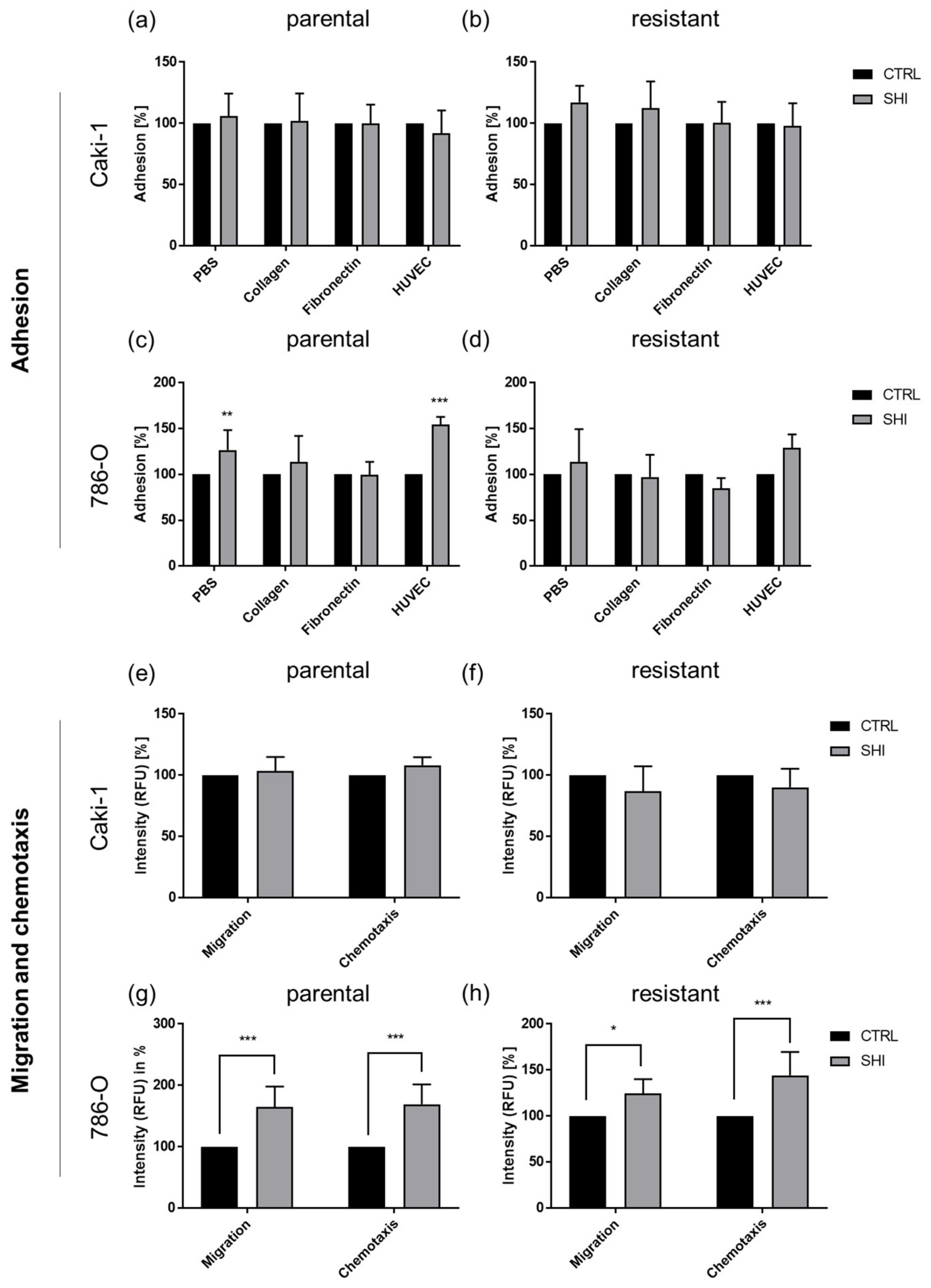 Cancers 14 01114 g013