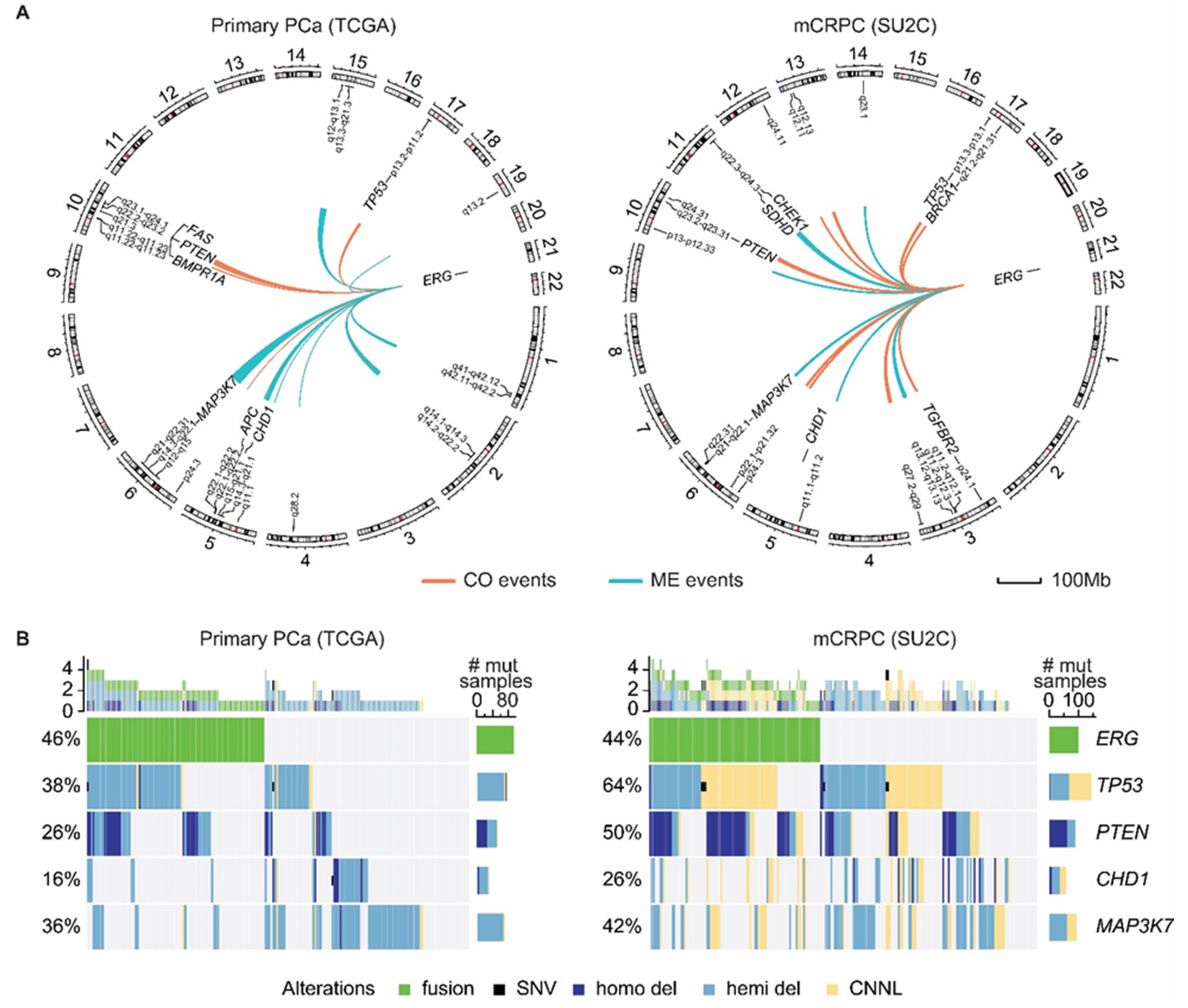 Cancers 14 01118 g002 Cancers 14 01118 g002