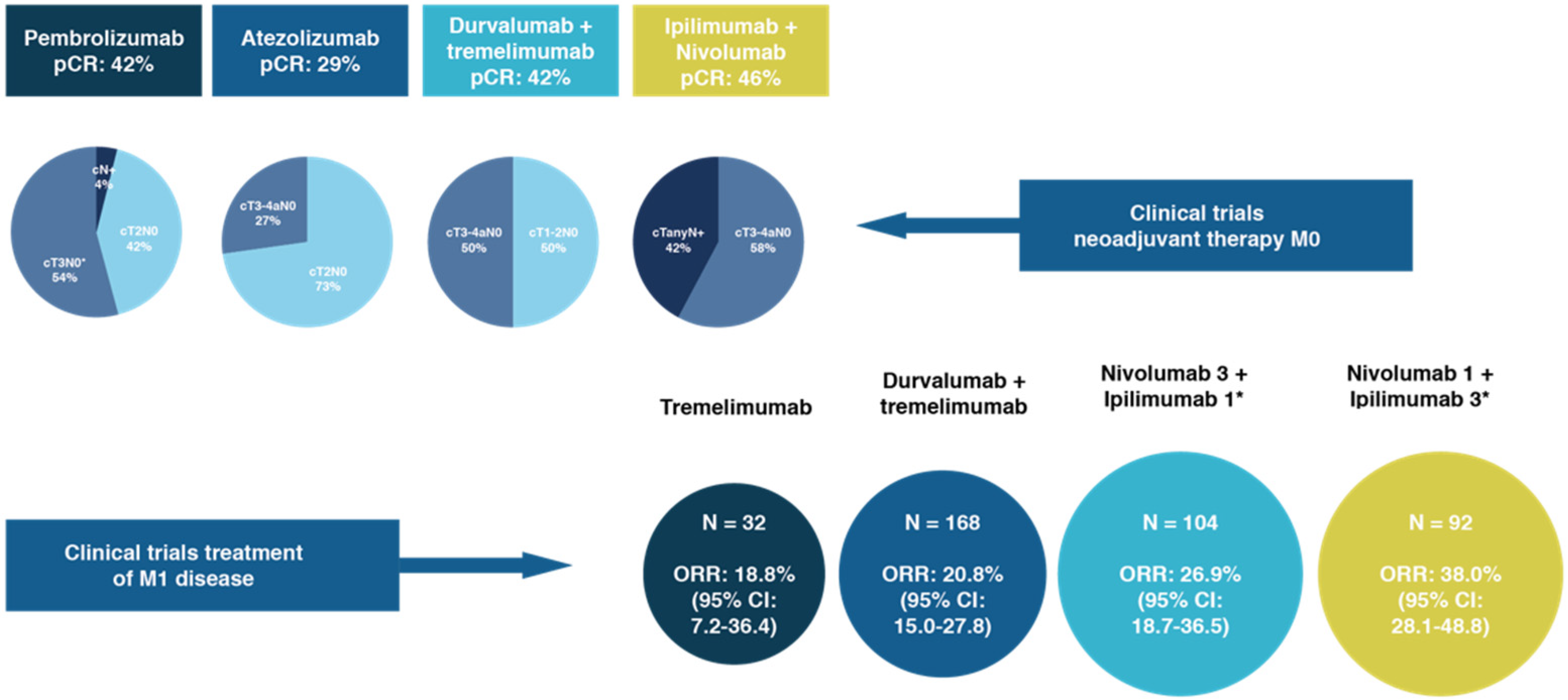 Cancers 14 01130 g002 Cancers 14 01130 g002