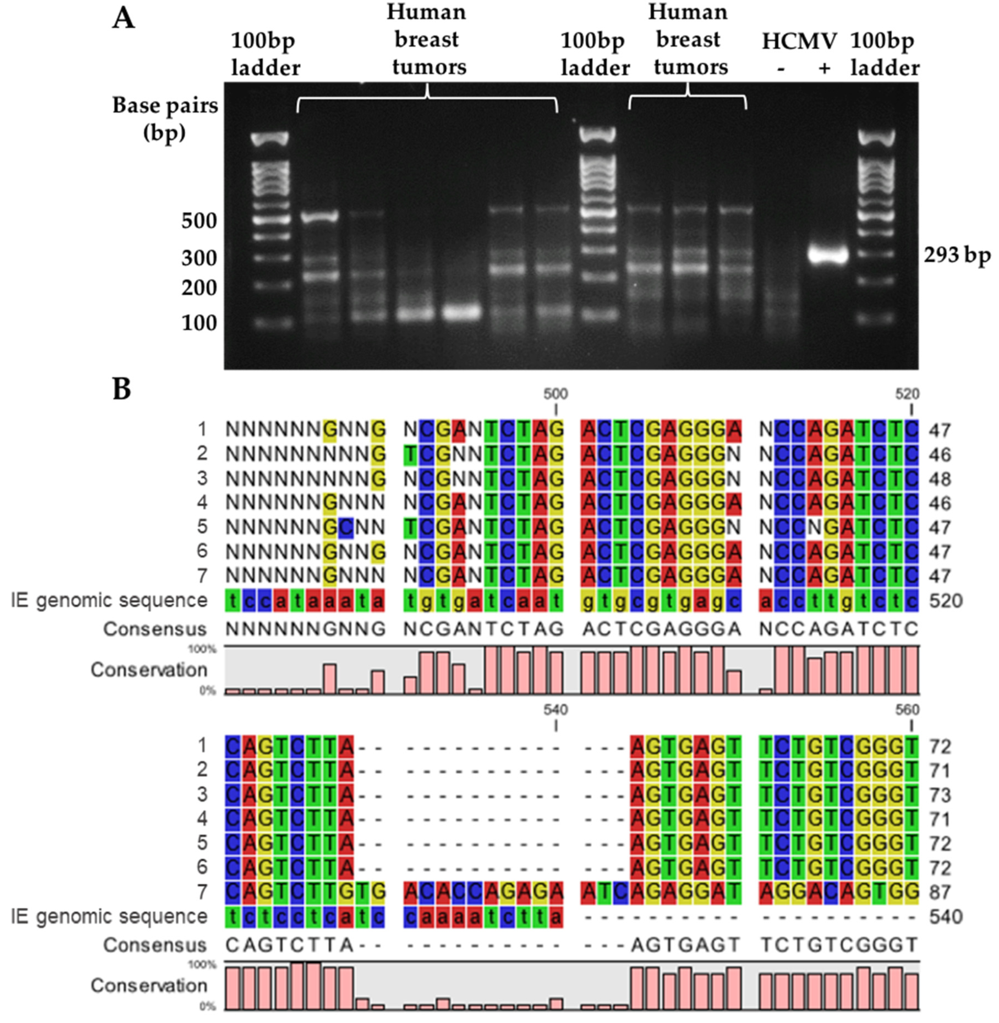 Cancers 14 01148 g003