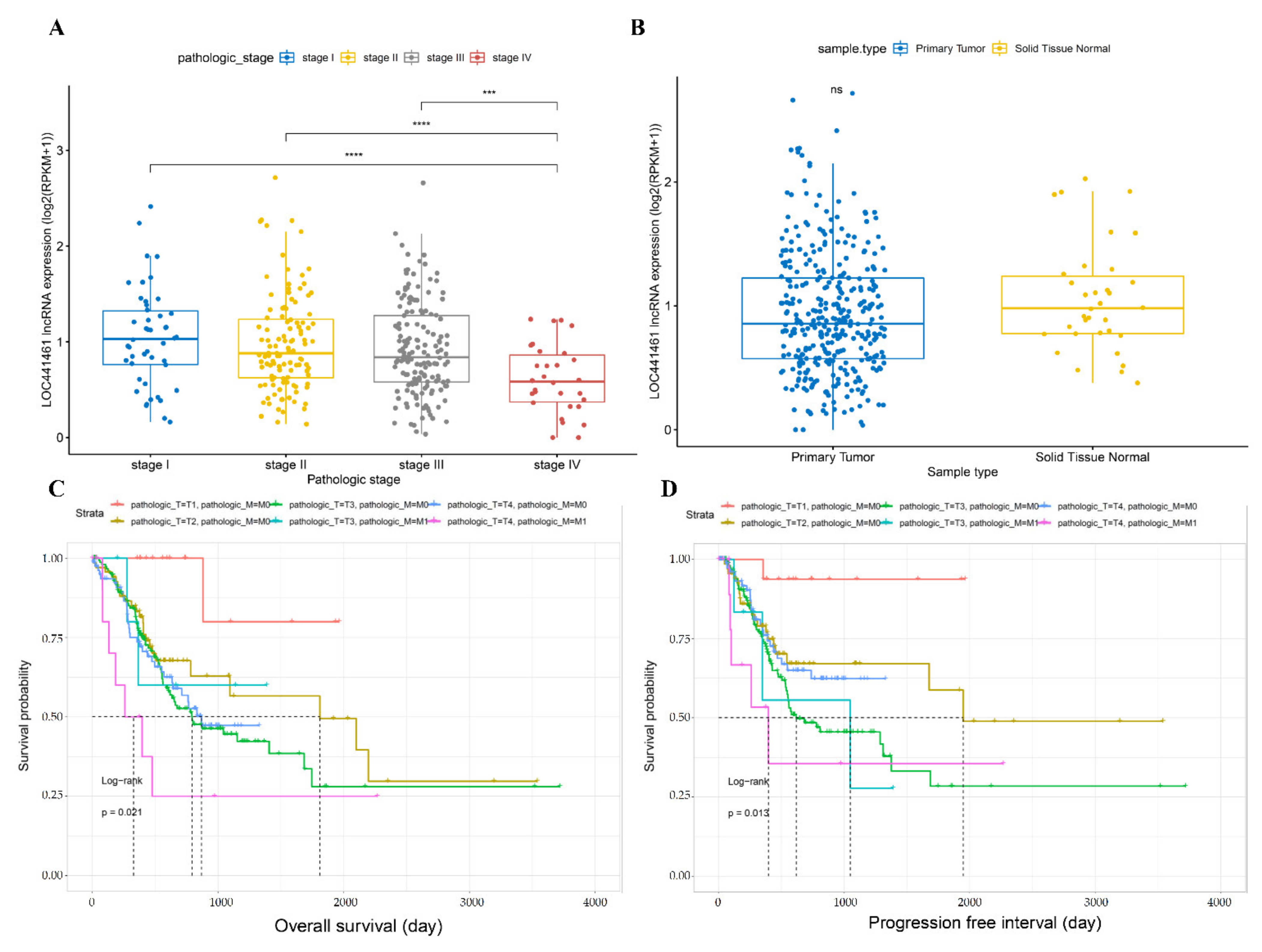 Cancers 14 01149 g001 Cancers 14 01149 g001