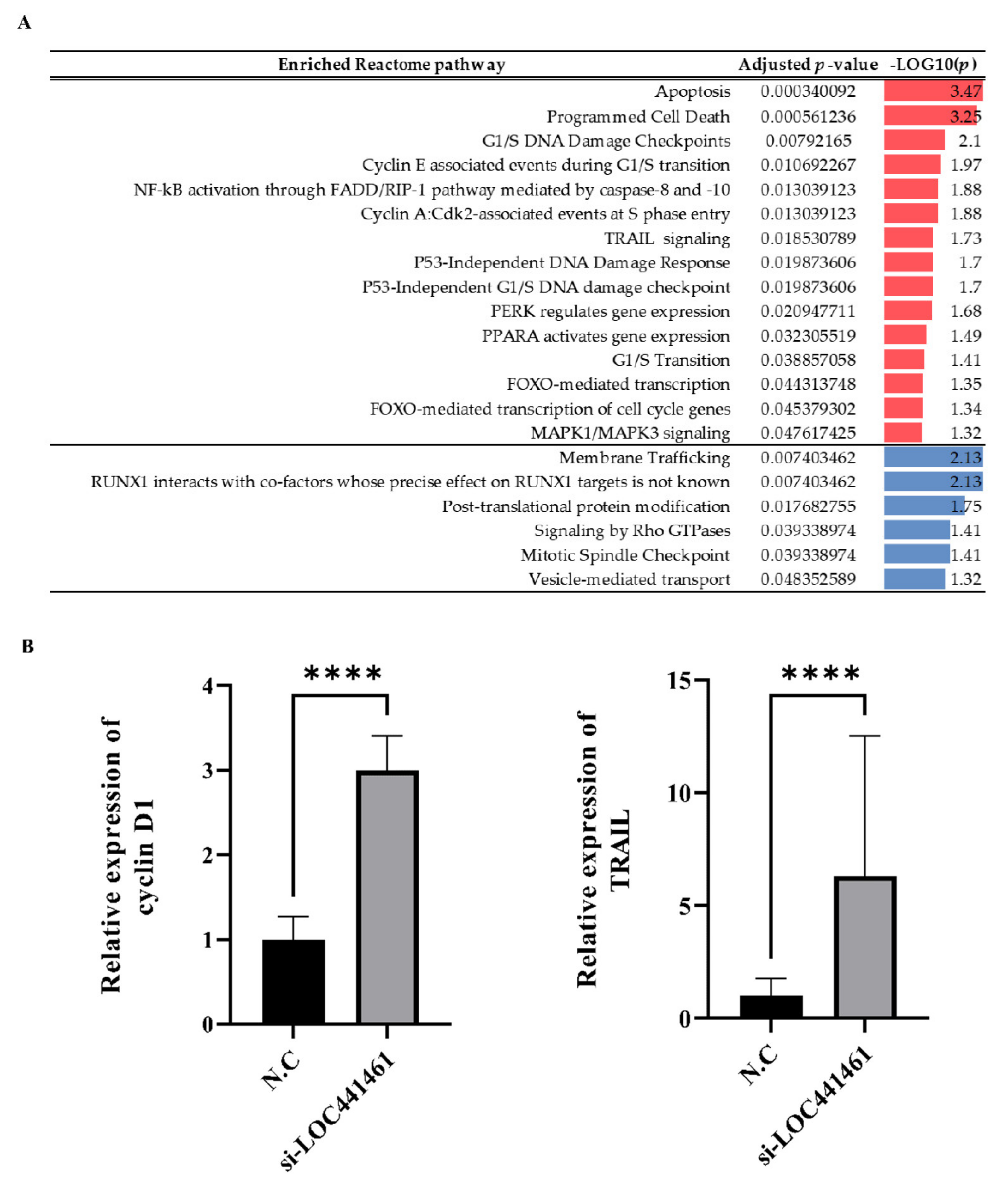 Cancers 14 01149 g006 Cancers 14 01149 g006