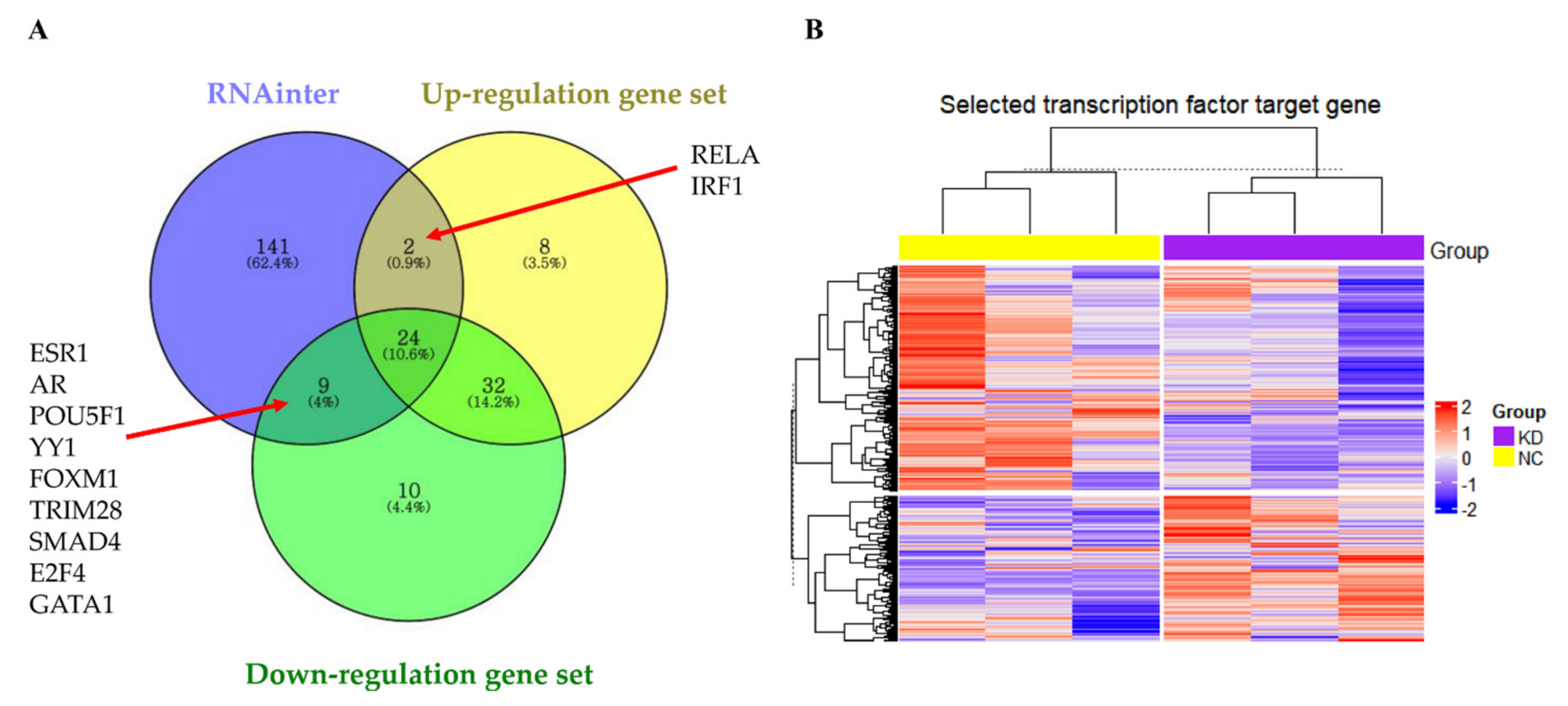 Cancers 14 01149 g007 Cancers 14 01149 g007