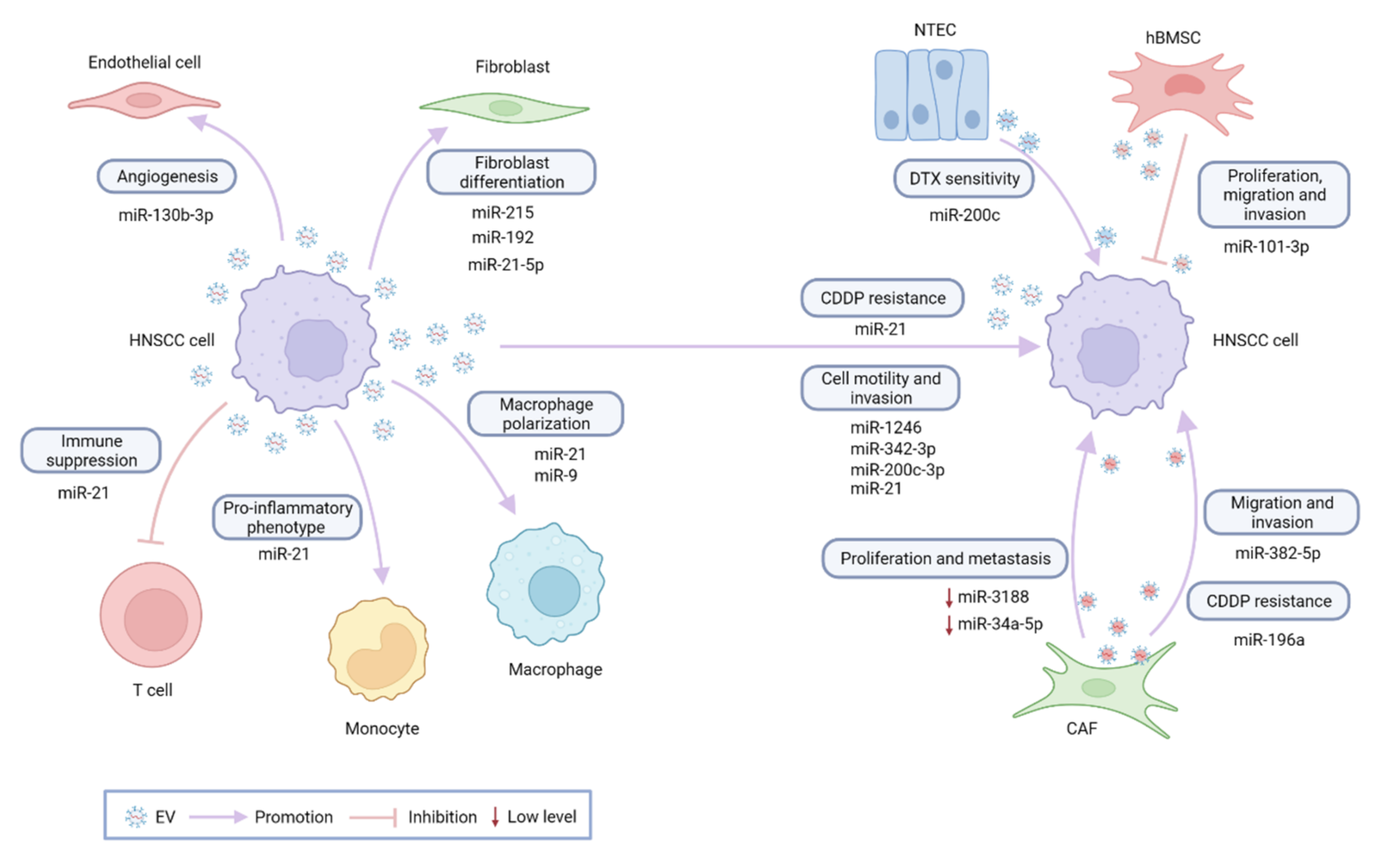 Cancers 14 01160 g001