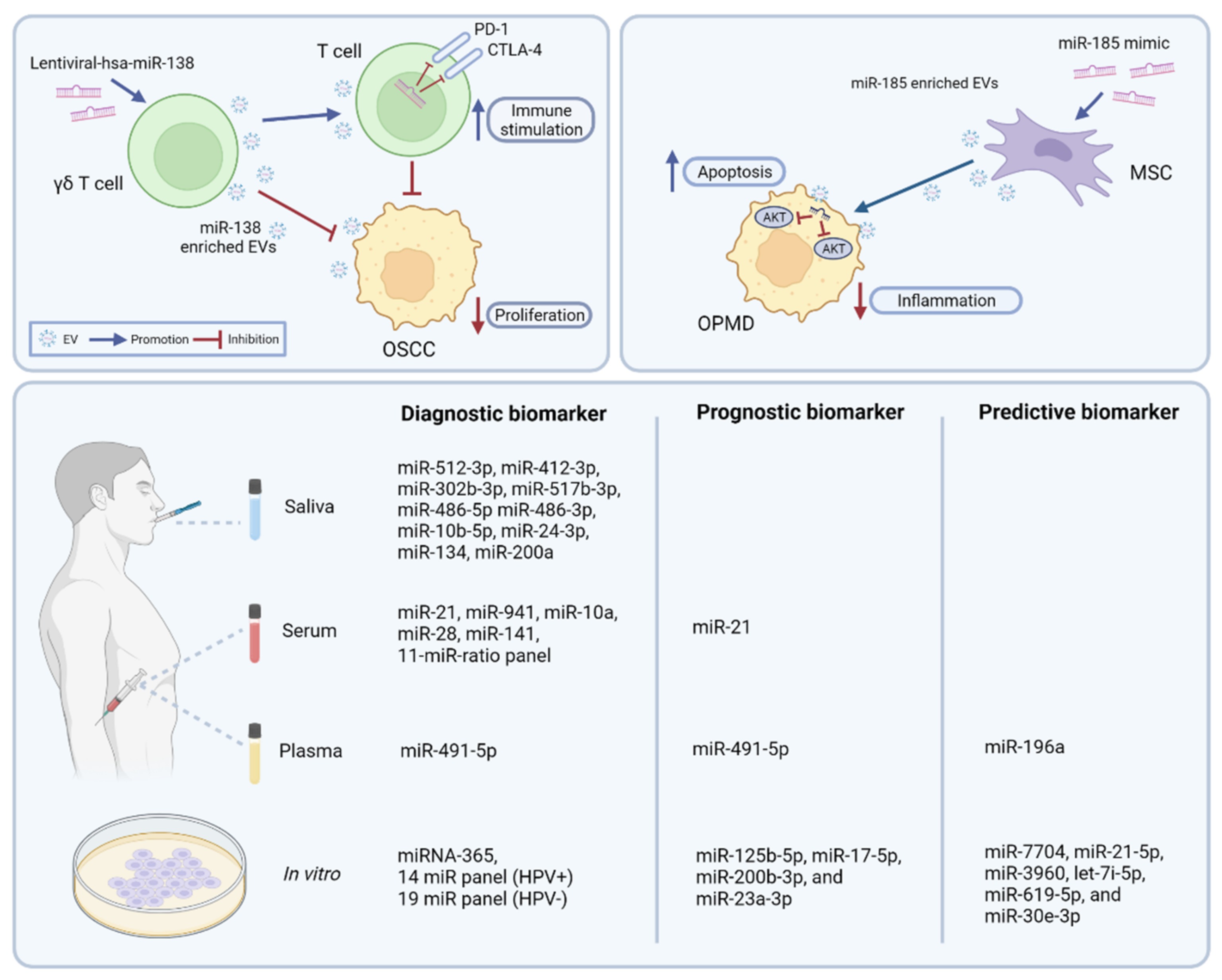Cancers 14 01160 g002