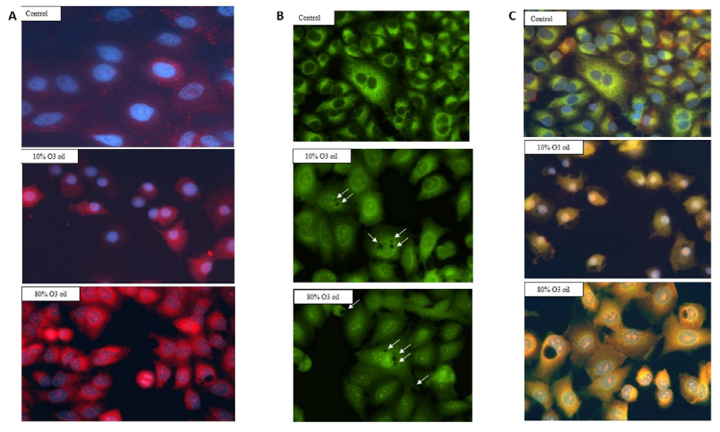 Cancers 14 01174 g006