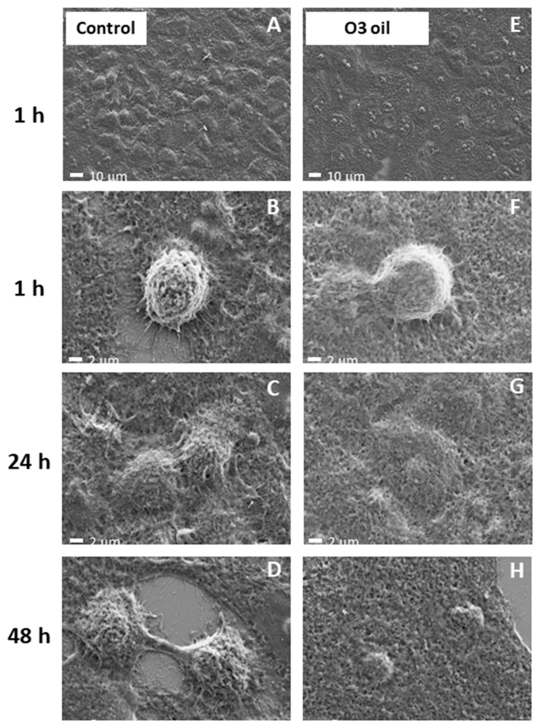 Cancers 14 01174 g007