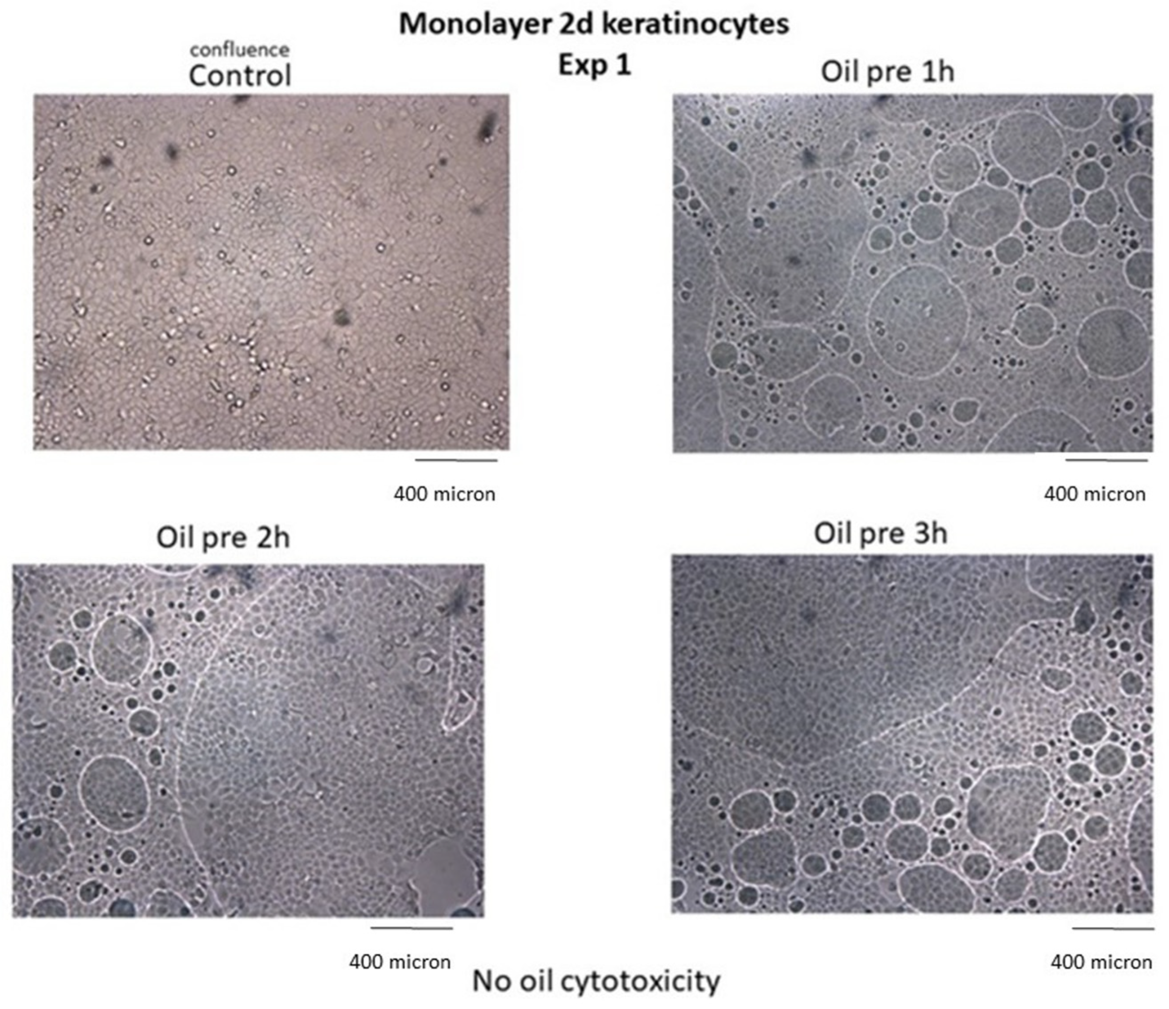 Cancers 14 01174 g010