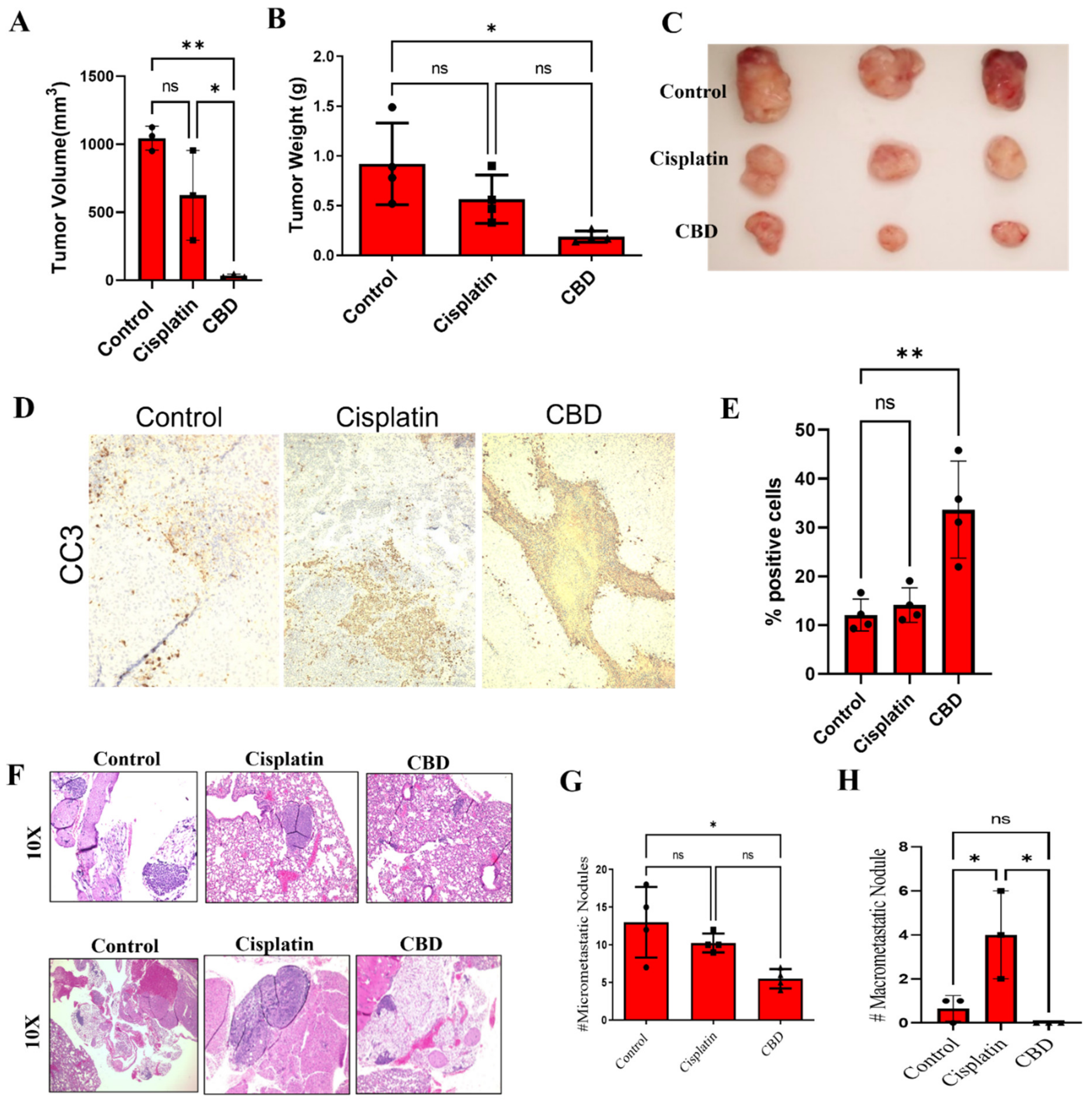 Cancers 14 01181 g005 550