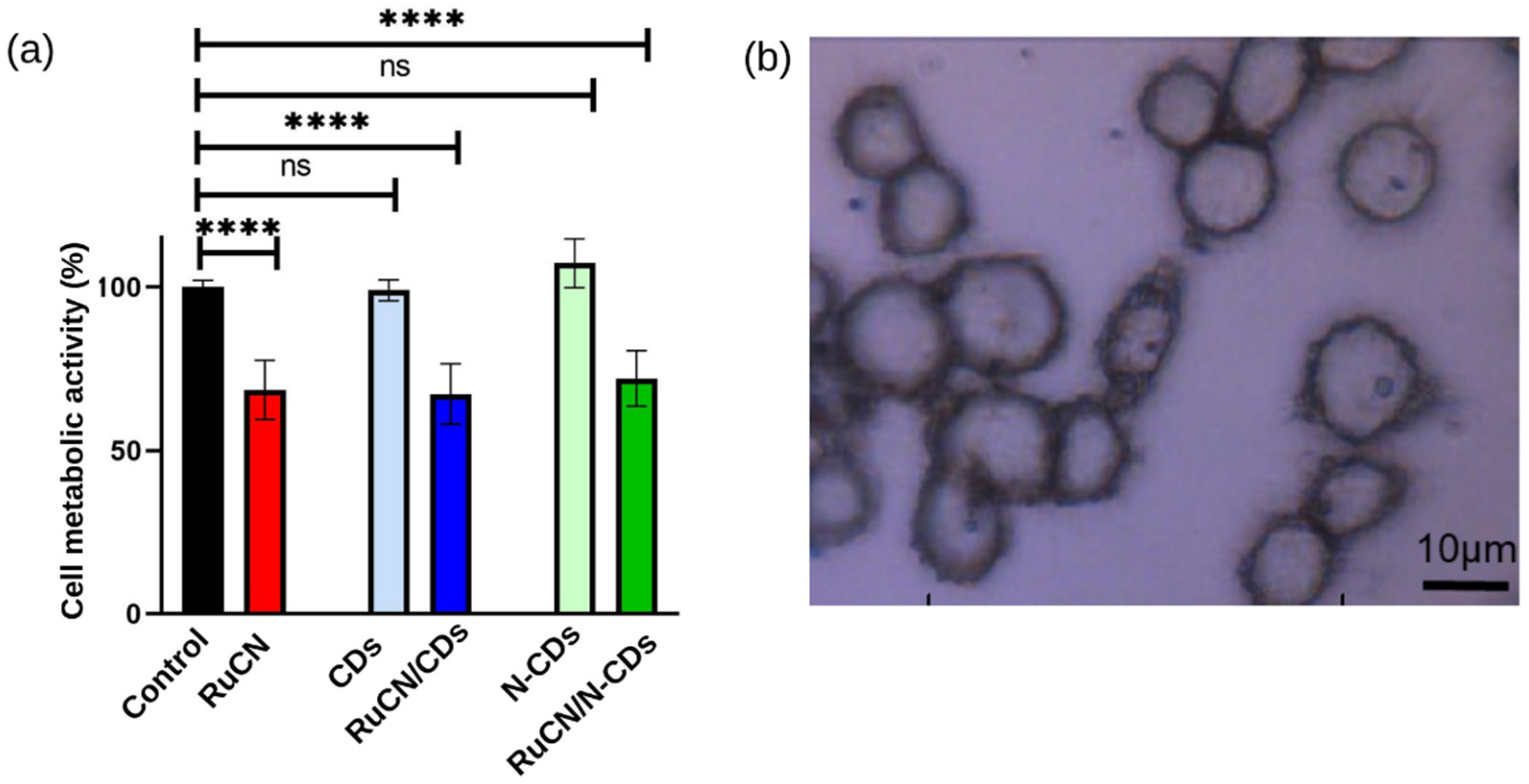 Cancers 14 01182 g001