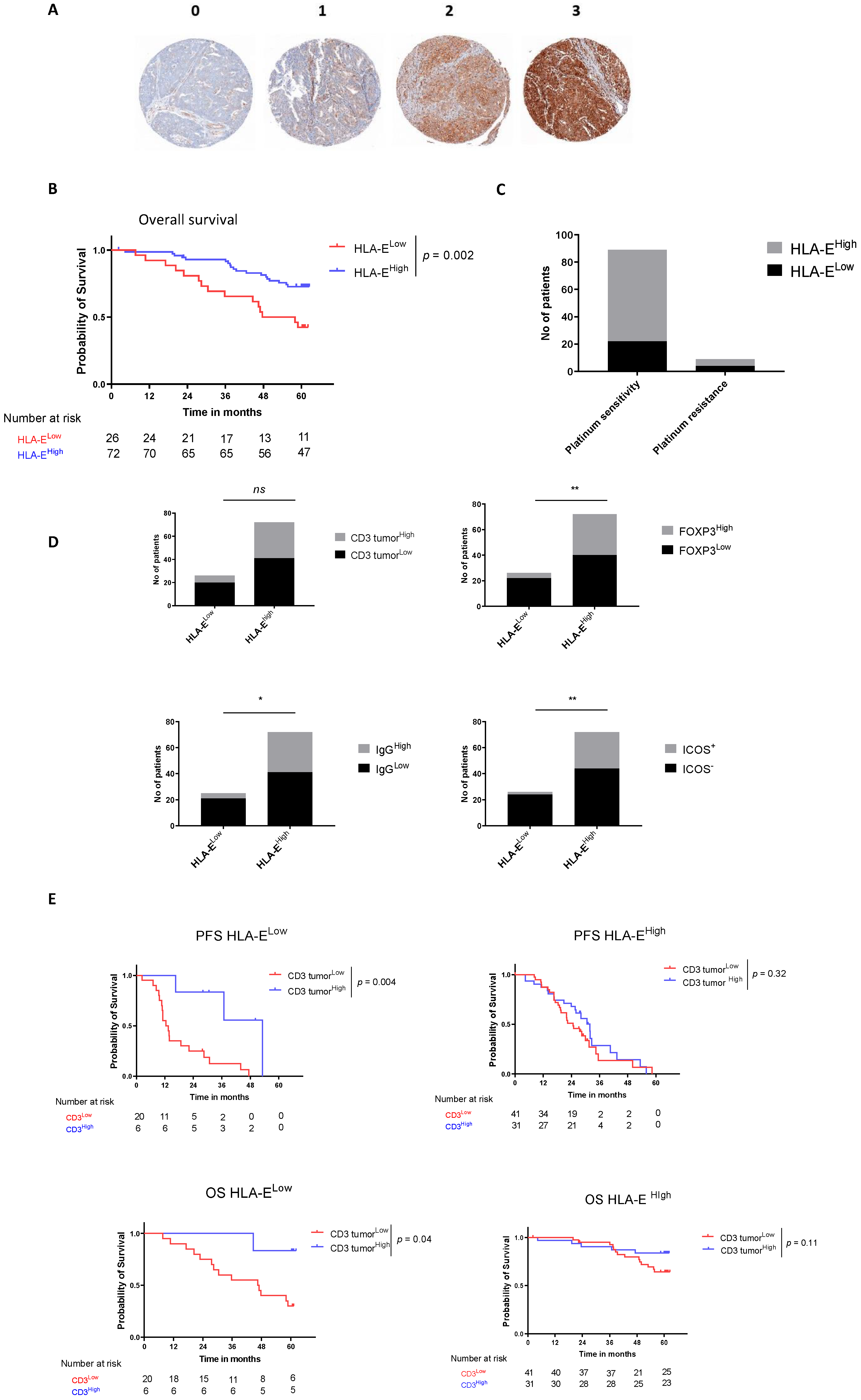 Cancers 14 01189 g002 Cancers 14 01189 g002