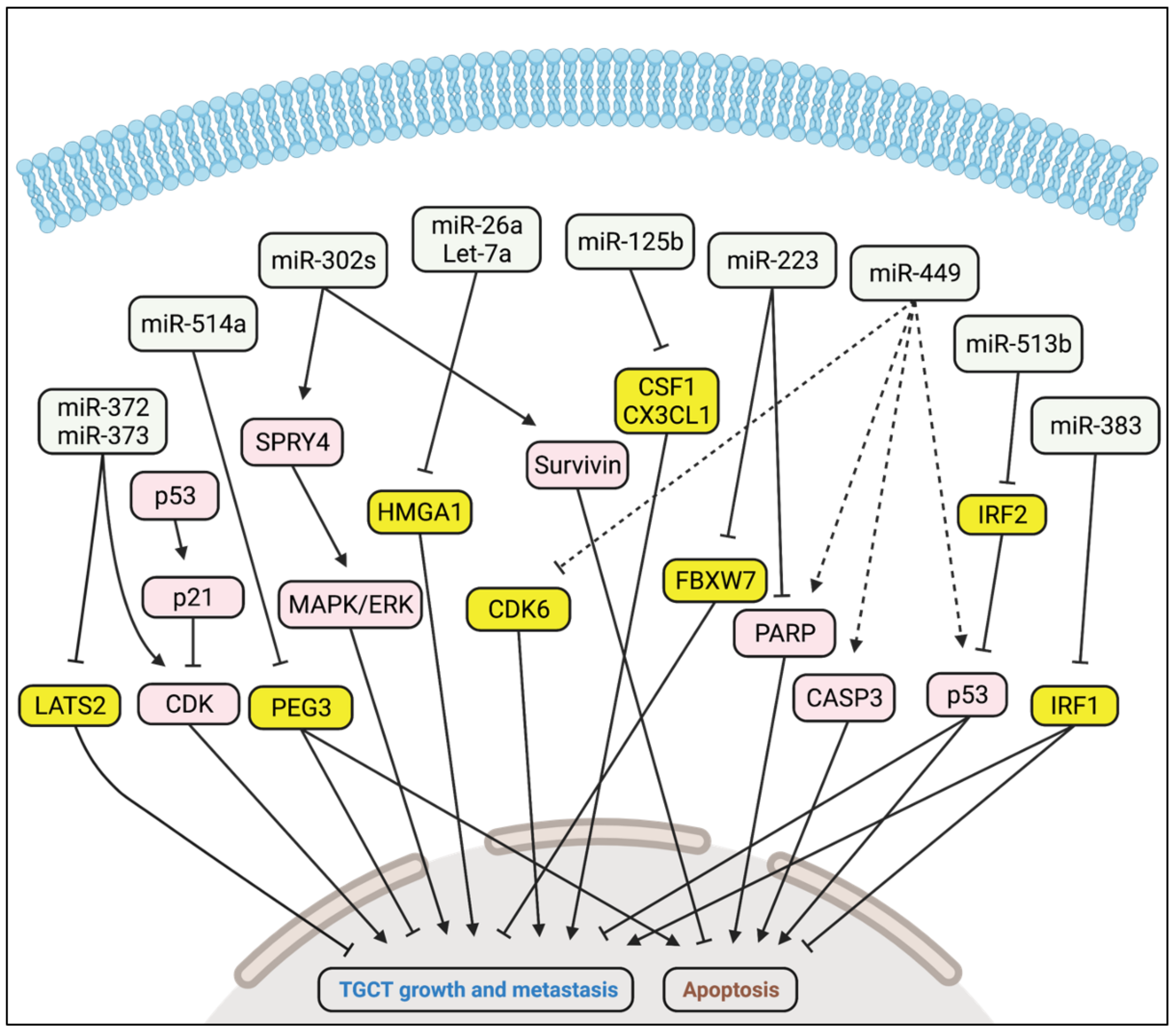 Cancers 14 01190 g003 550
