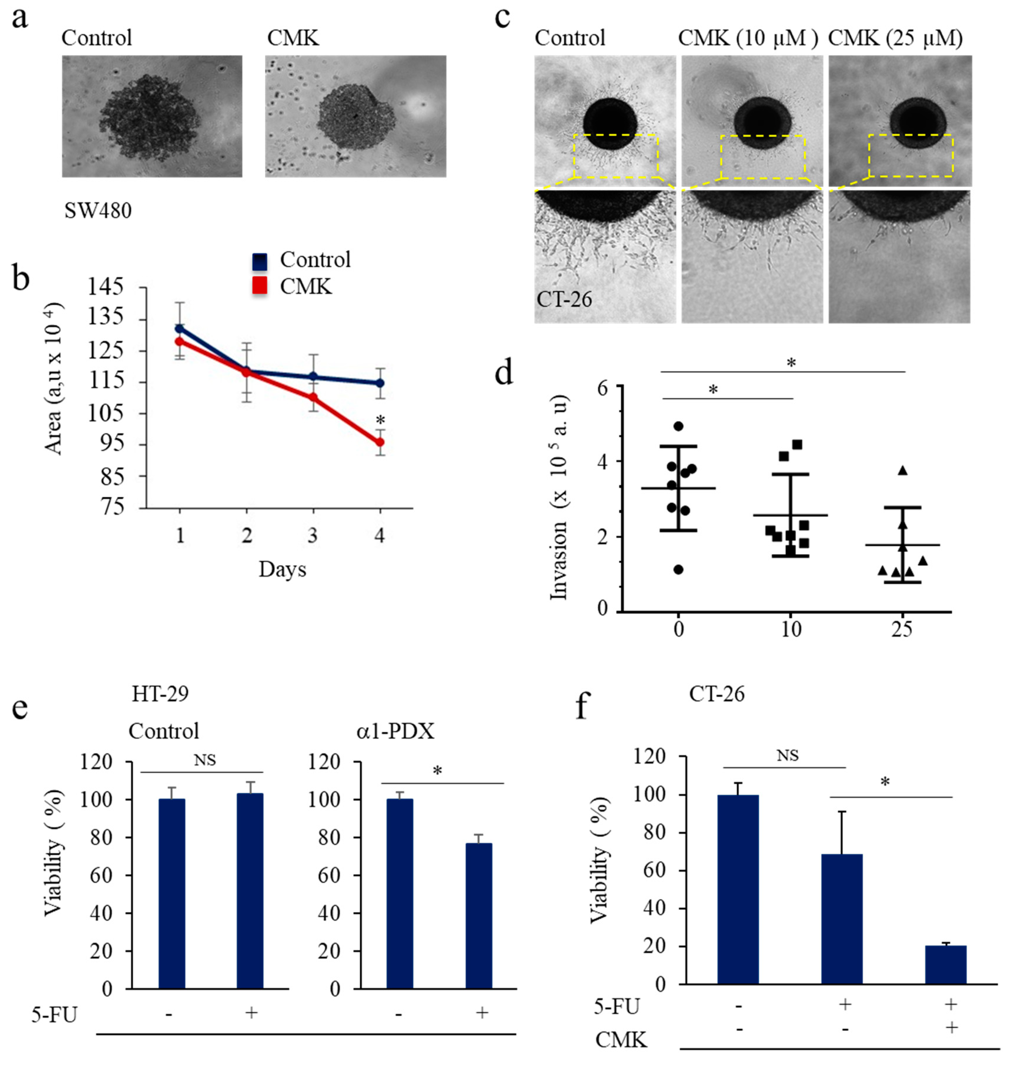 Cancers 14 01195 g004