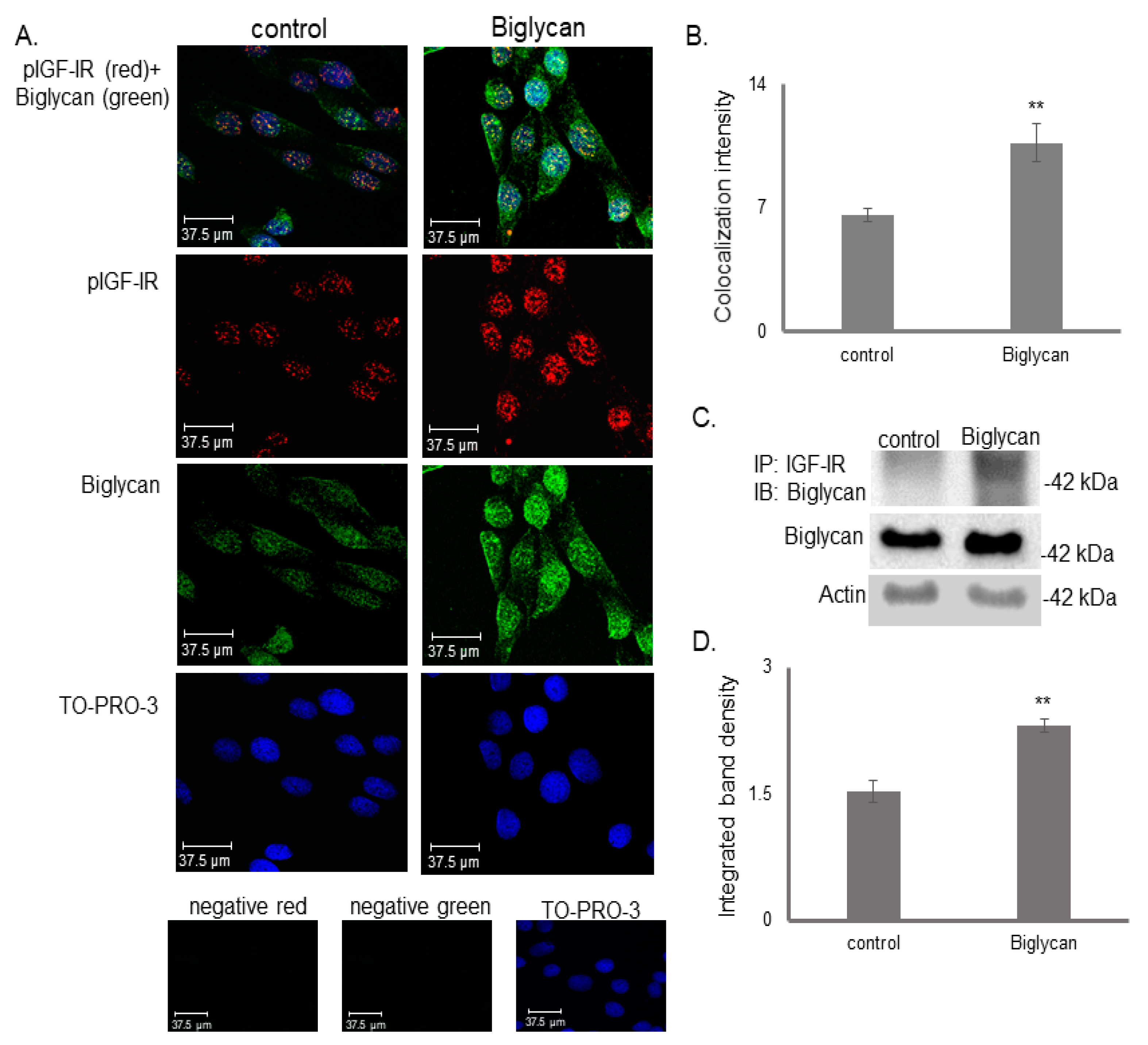 Cancers 14 01196 g001 Cancers 14 01196 g001