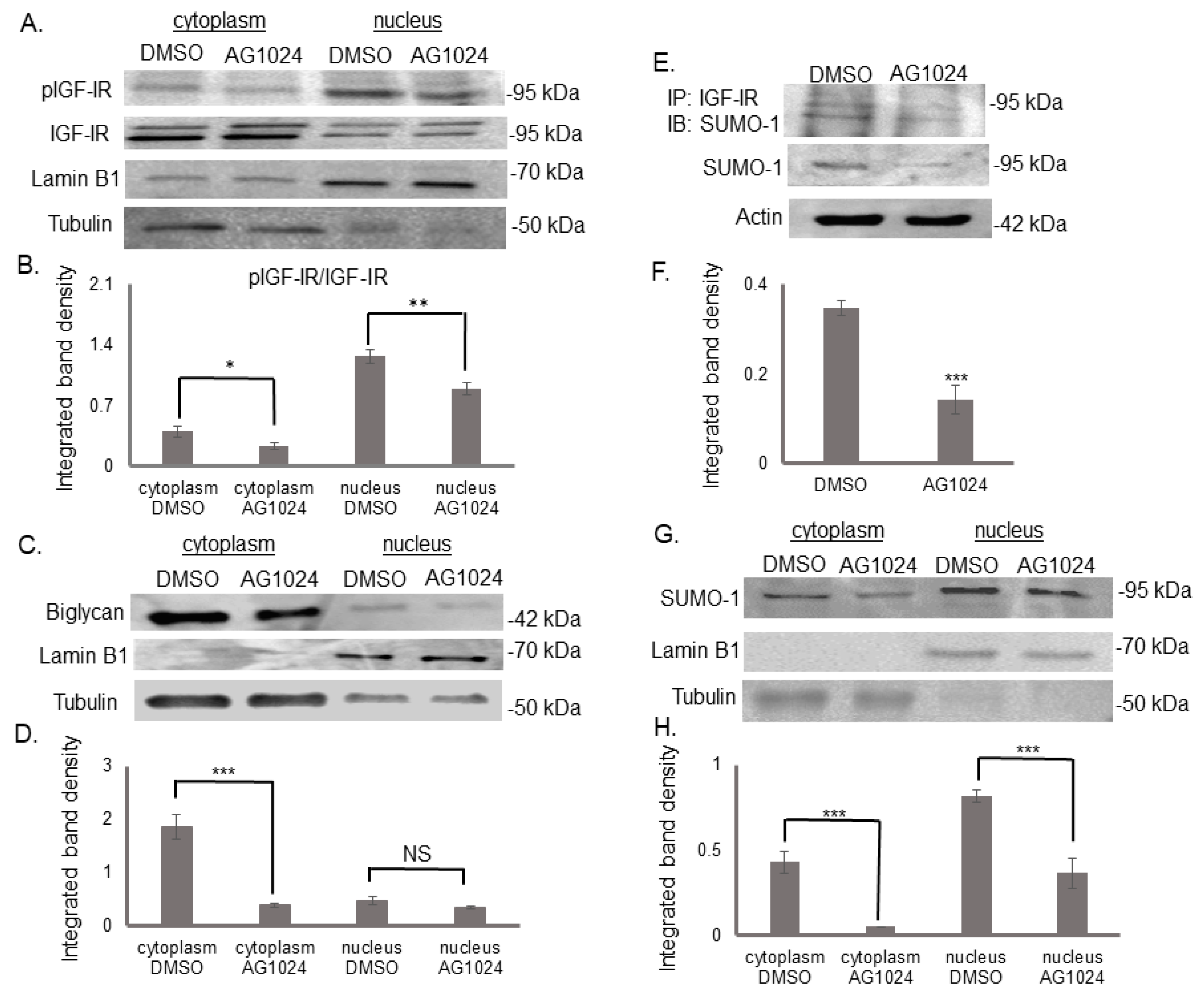 Cancers 14 01196 g009 Cancers 14 01196 g009