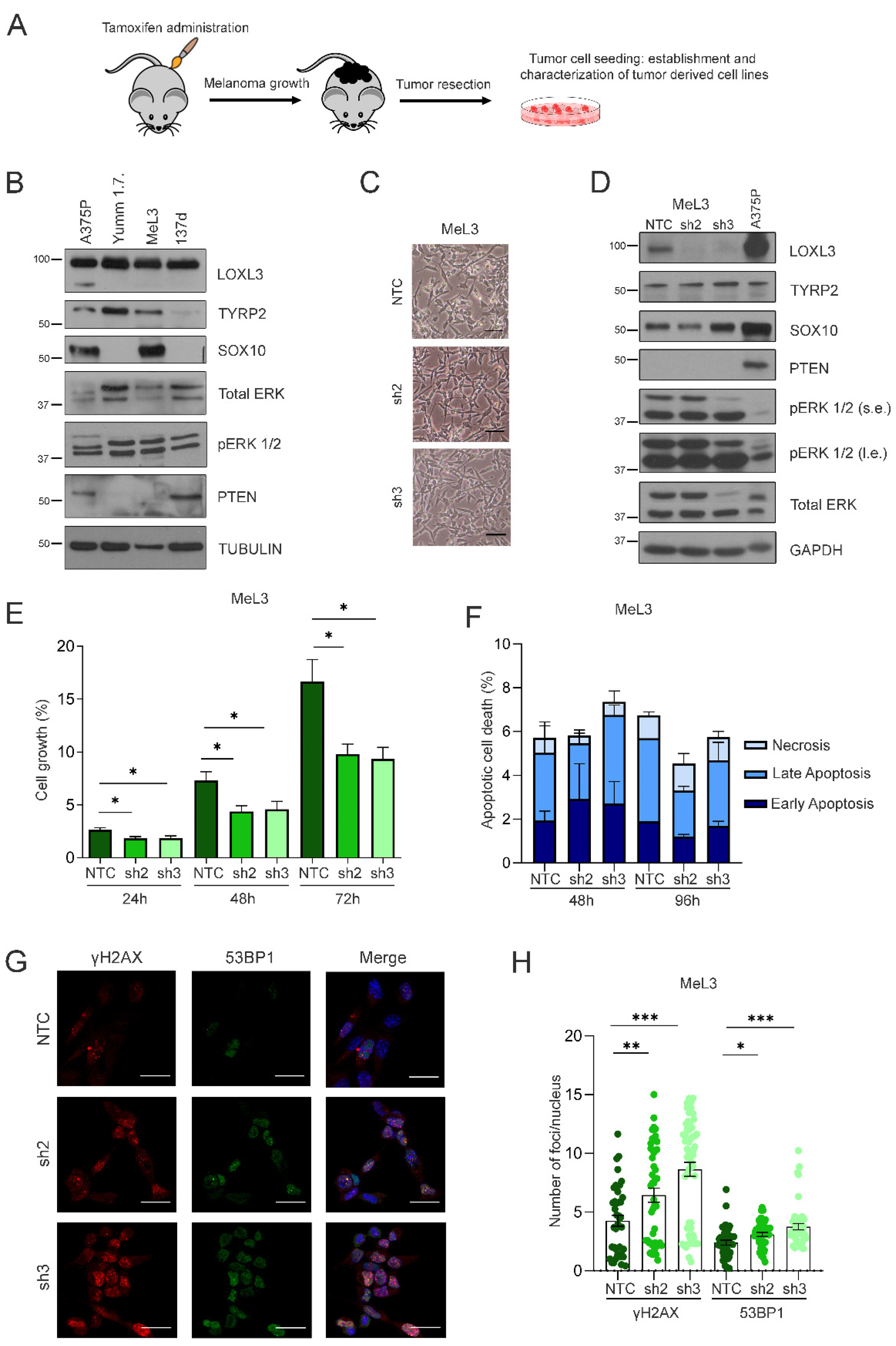 Cancers 14 01200 g004 550