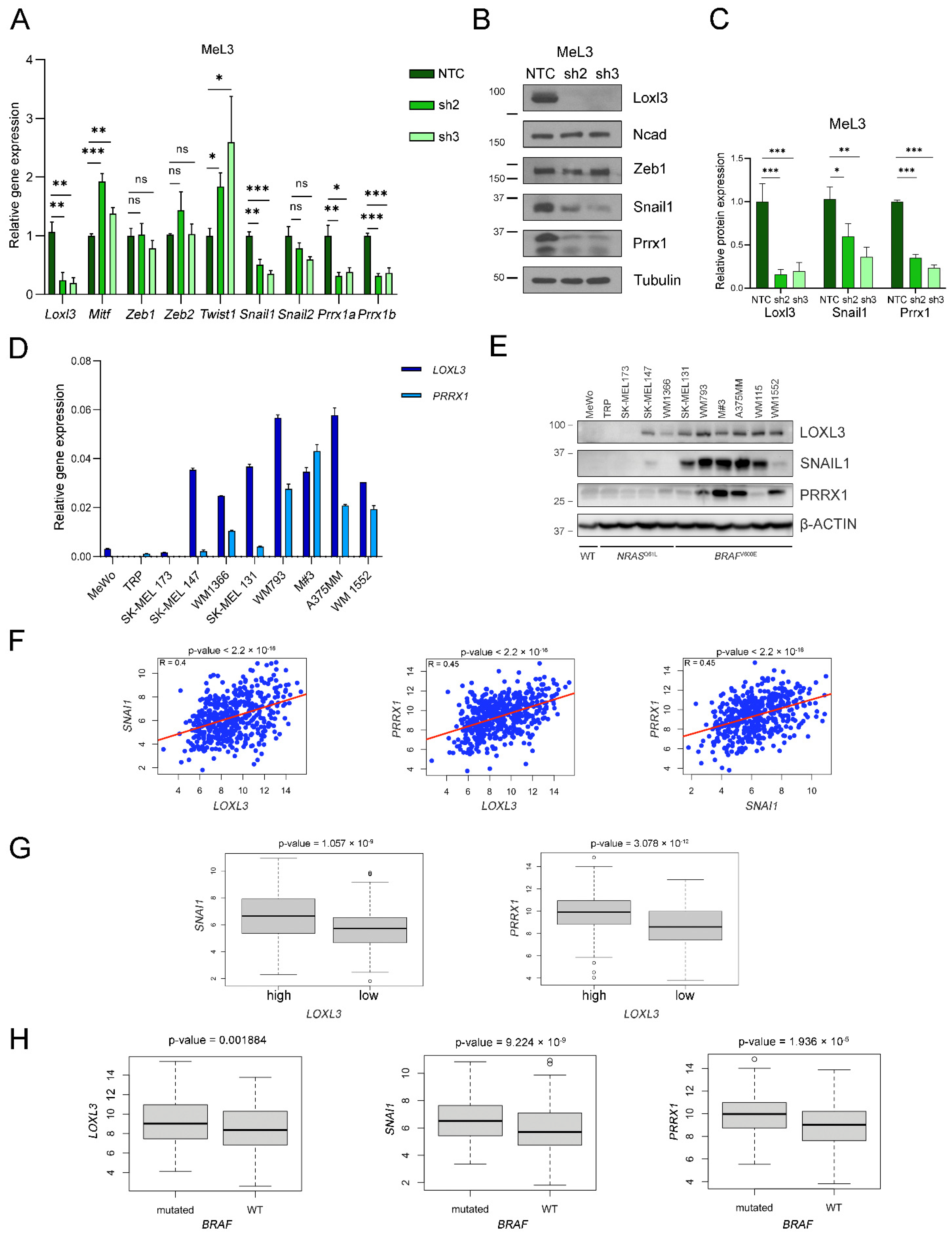 Cancers 14 01200 g007 550