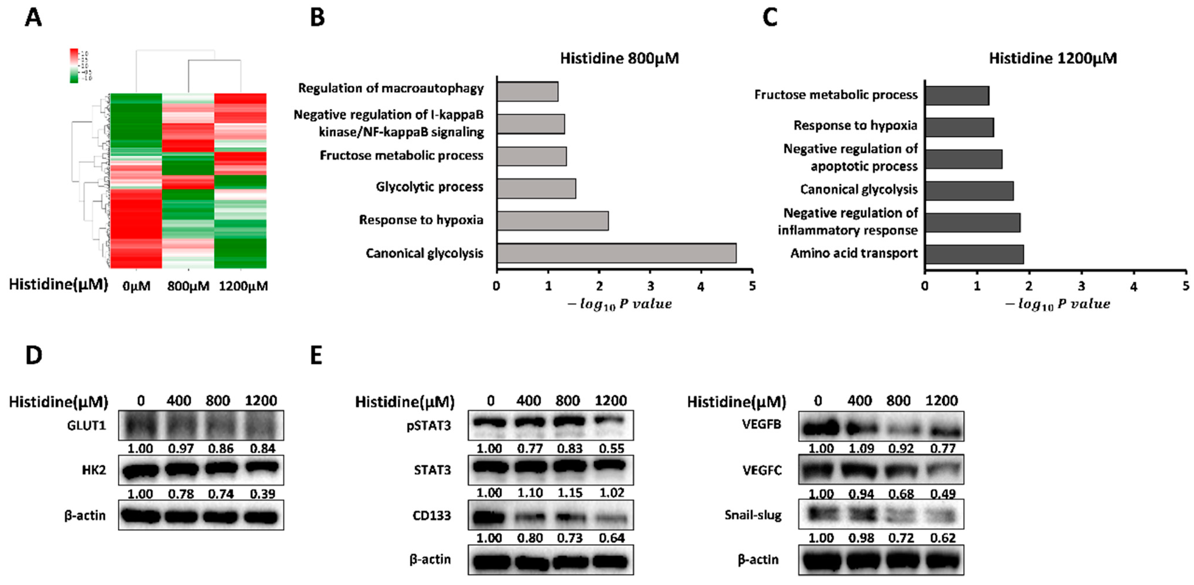Cancers 14 01205 g001
