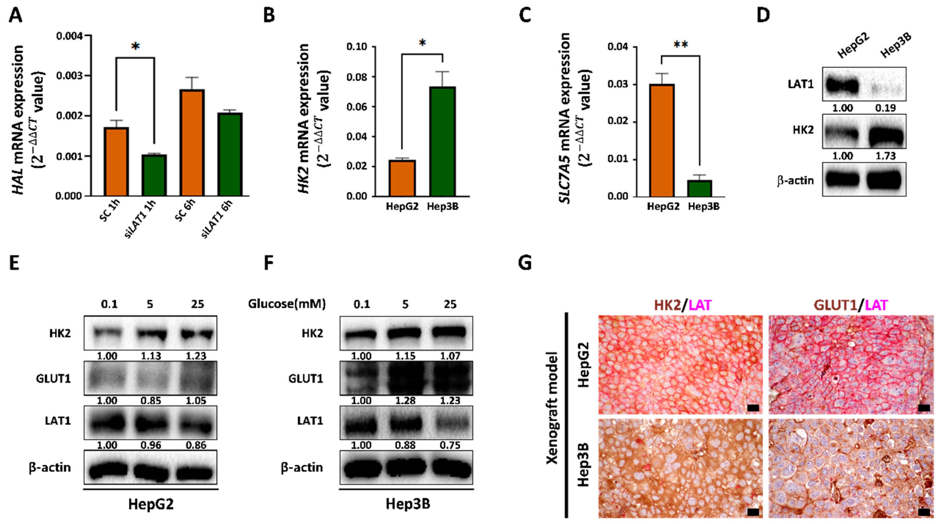 Cancers 14 01205 g002