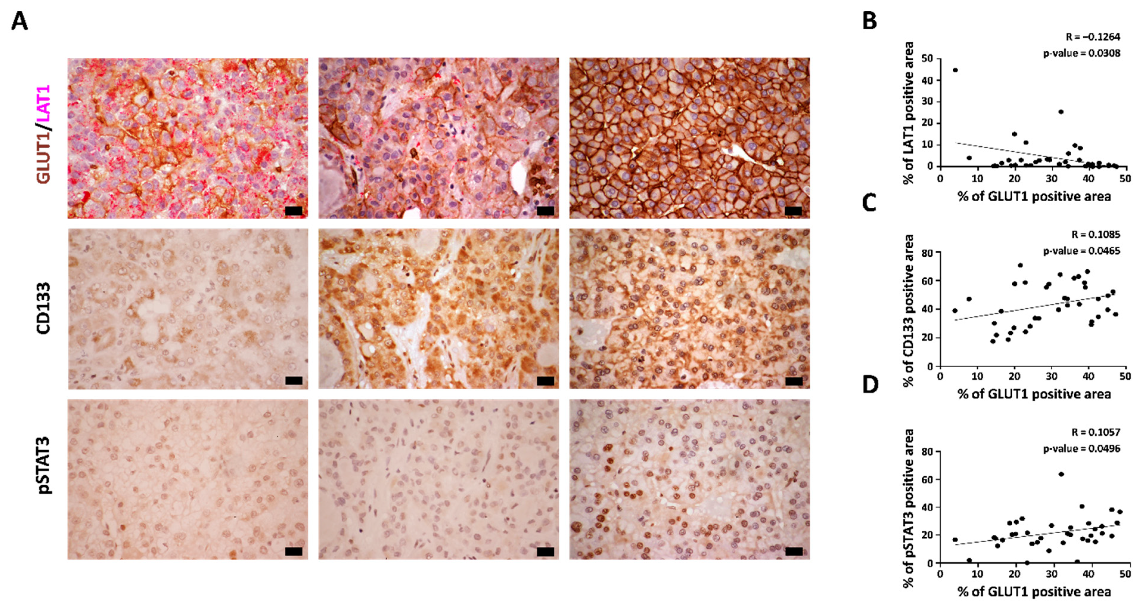 Cancers 14 01205 g003