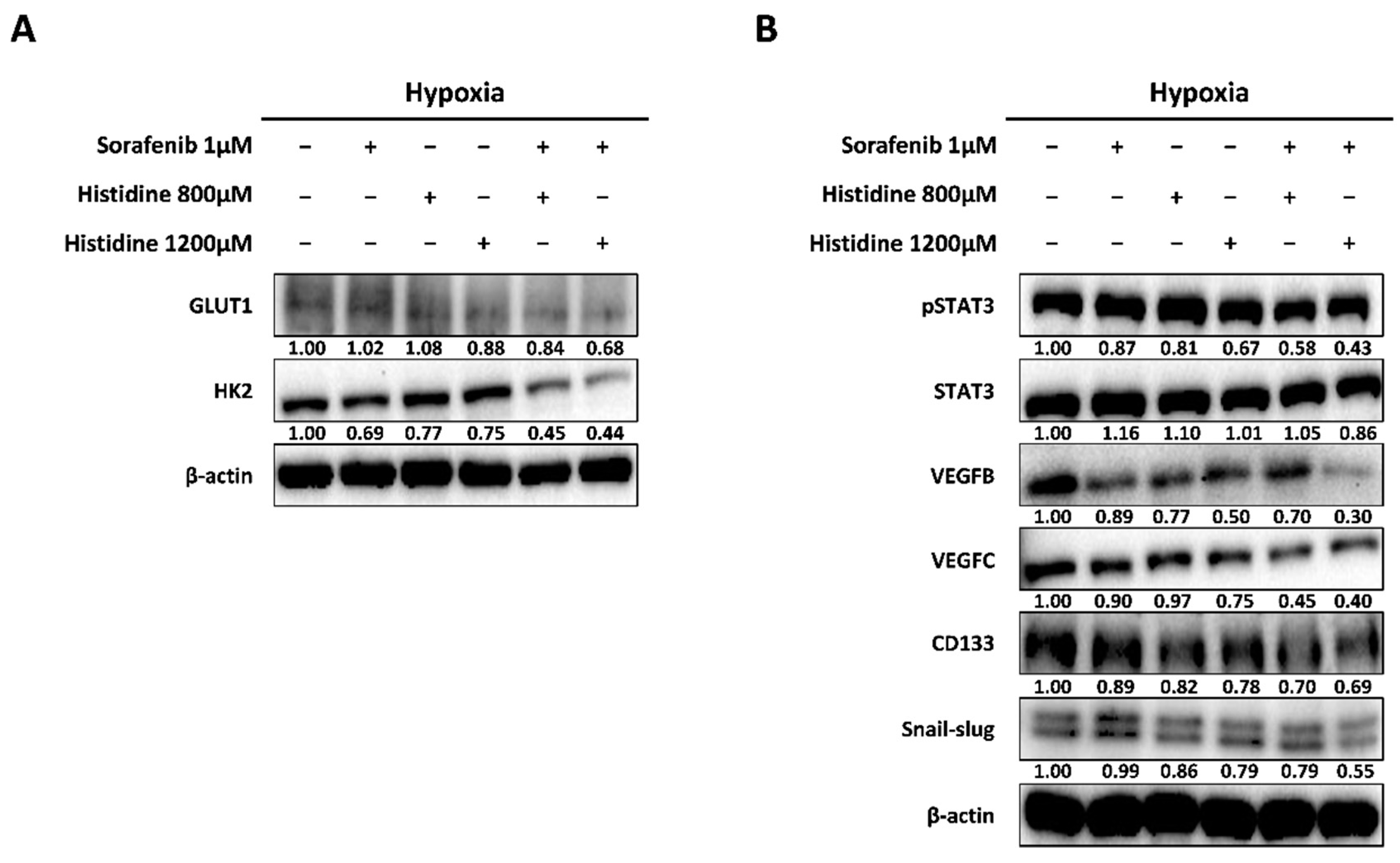 Cancers 14 01205 g004