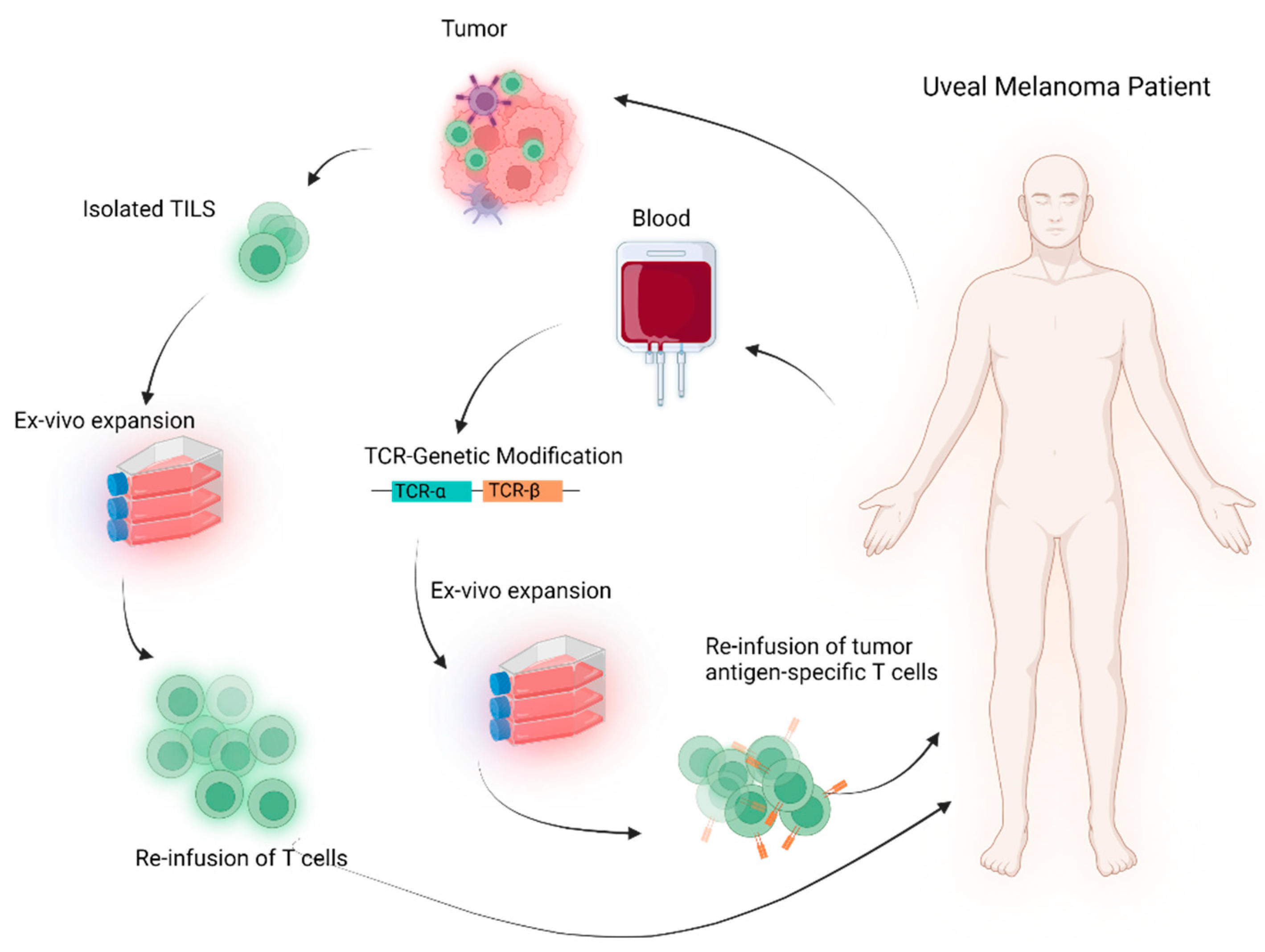 Cancers 14 01215 g001 550