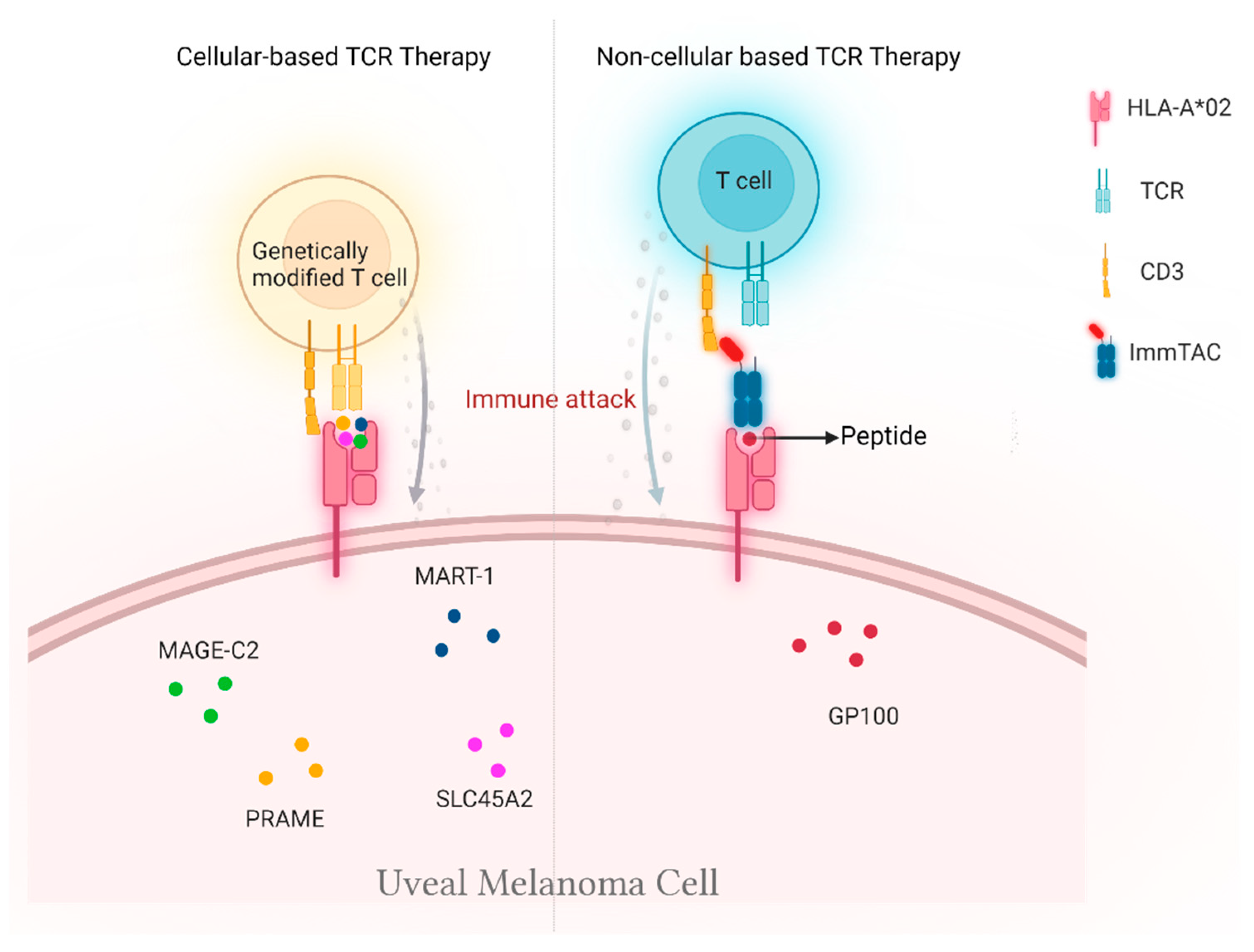 Cancers 14 01215 g002 550