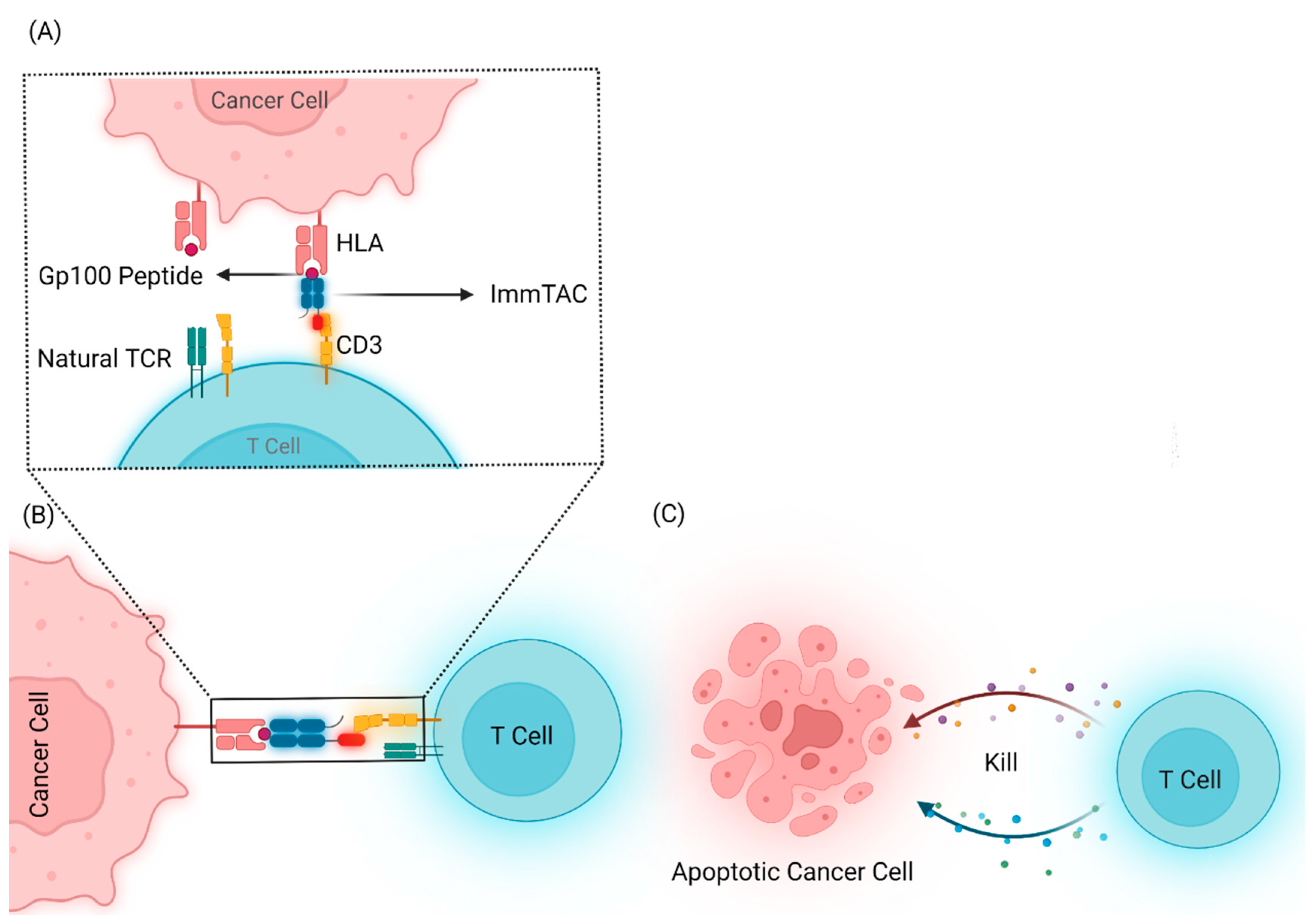 Cancers 14 01215 g003 550