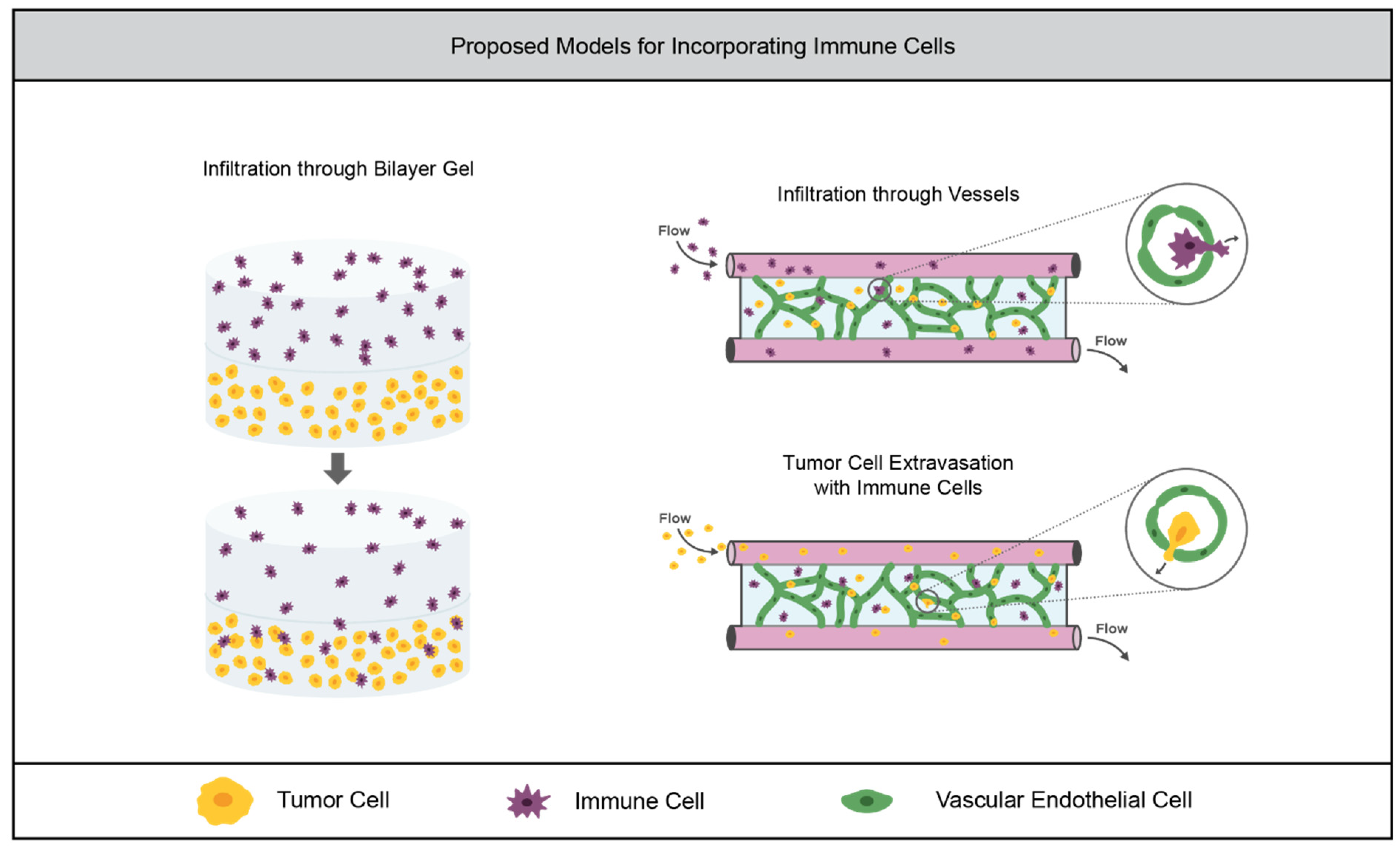 Cancers 14 01225 g005 Cancers 14 01225 g005
