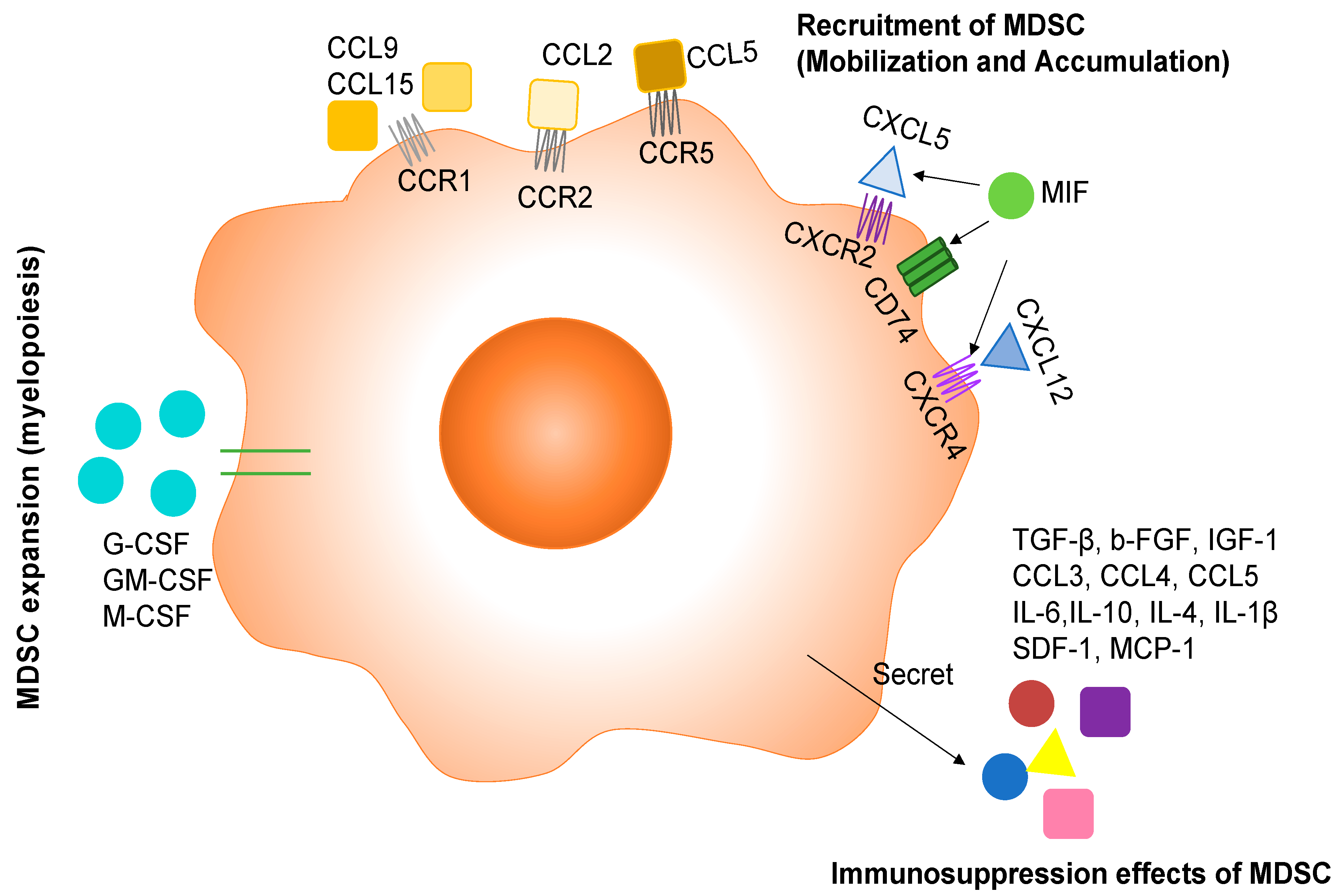 Blocking immunosuppressive neutrophils deters pY696-EZH2–driven brain  metastases