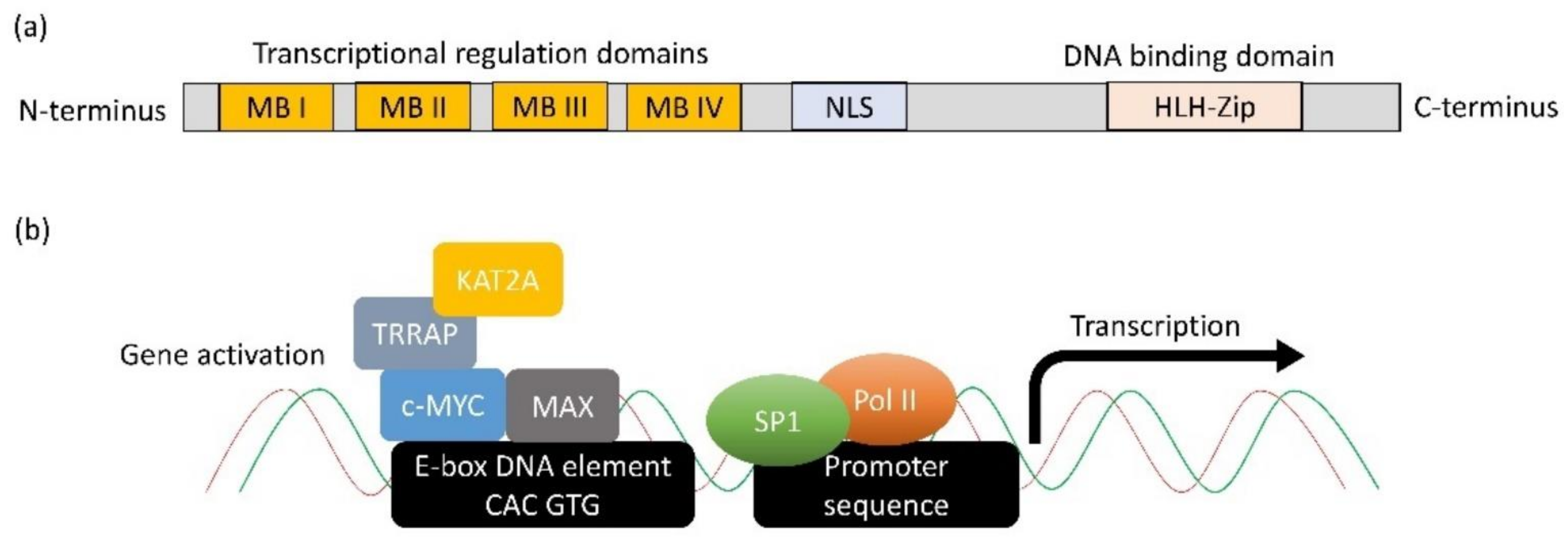 Cancers 14 01251 g001 550