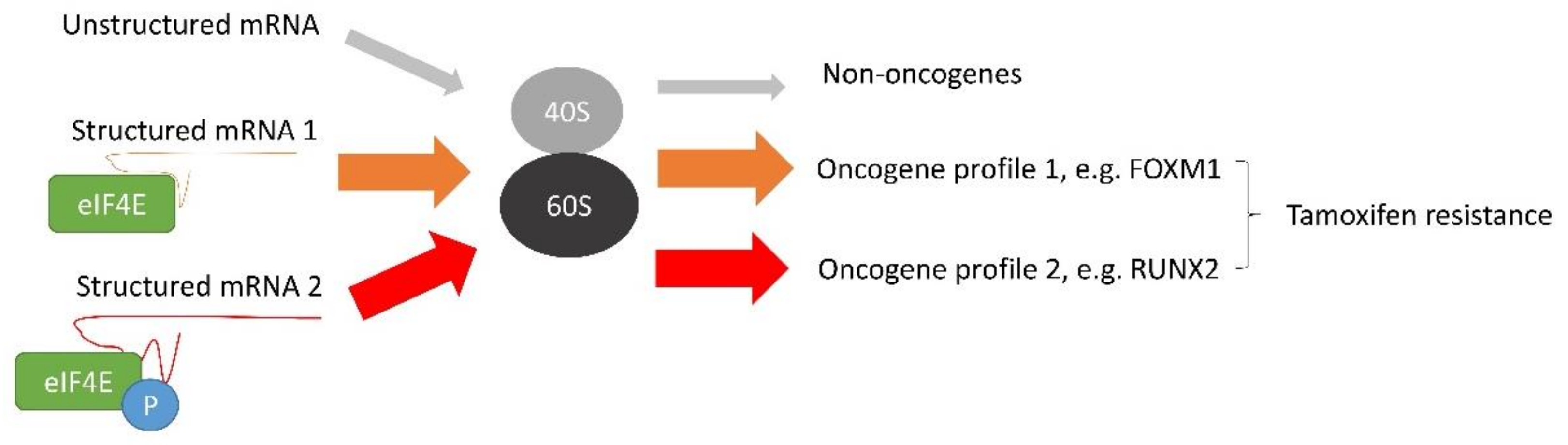 Cancers 14 01251 g003 550