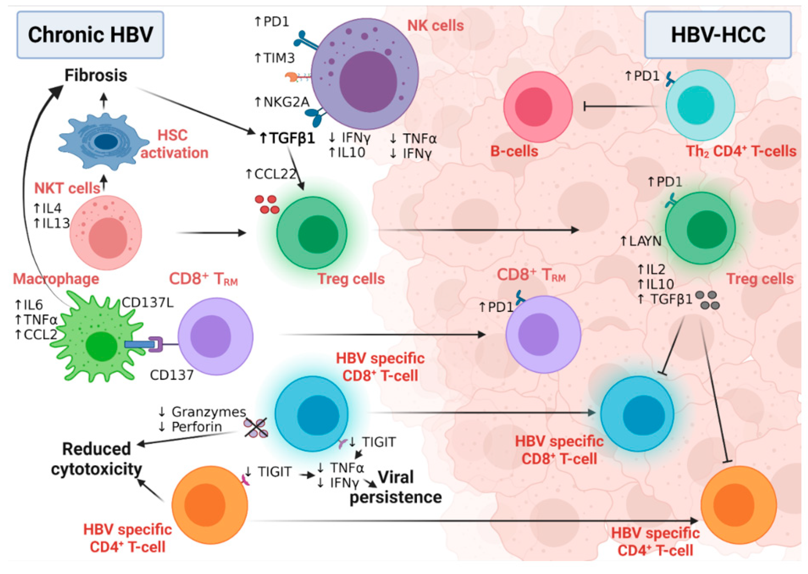 Cancers 14 01255 g006 Cancers 14 01255 g006