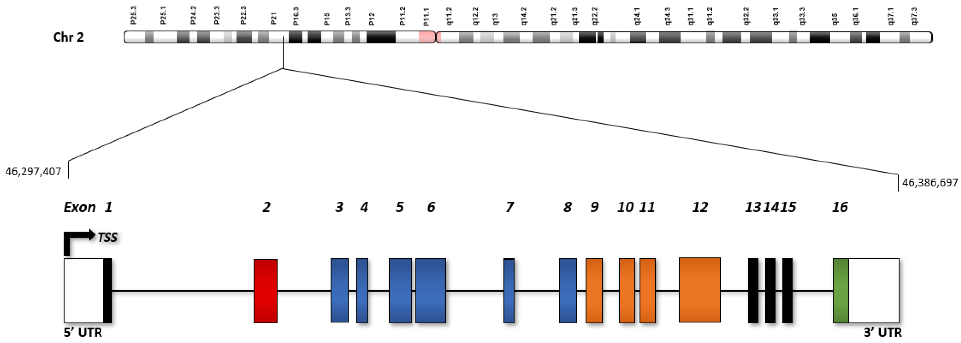 Cancers 14 01259 g001 550