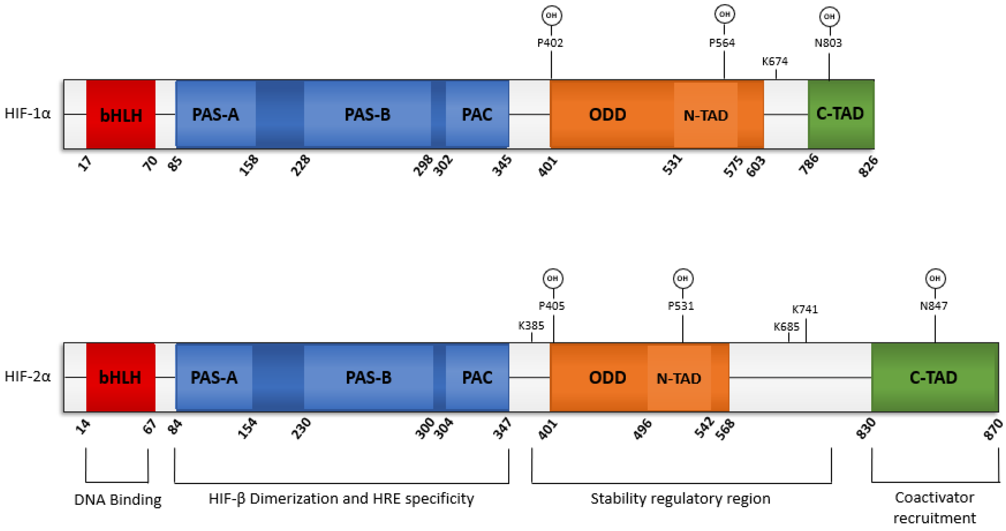 Cancers 14 01259 g002 550