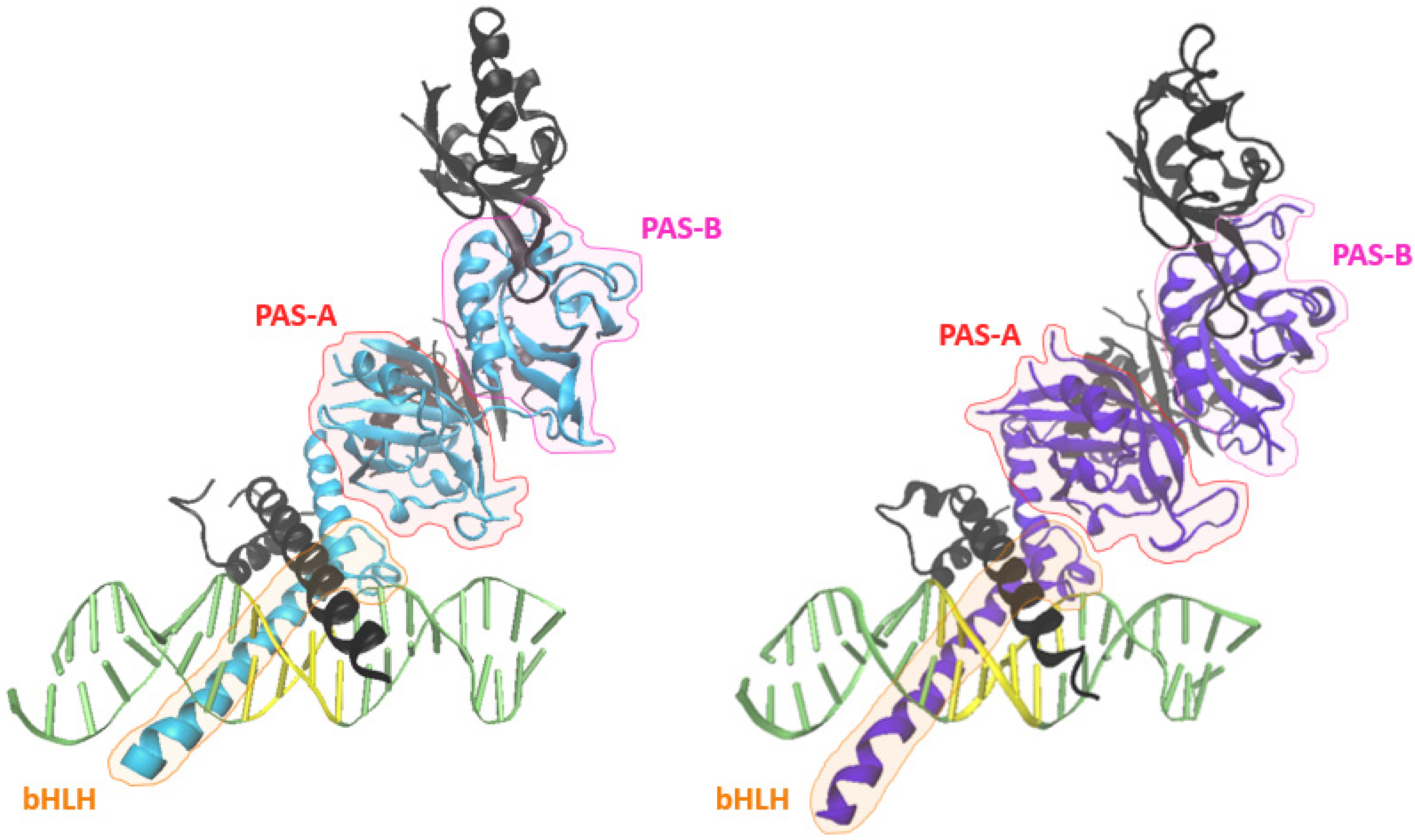 Cancers 14 01259 g003 550