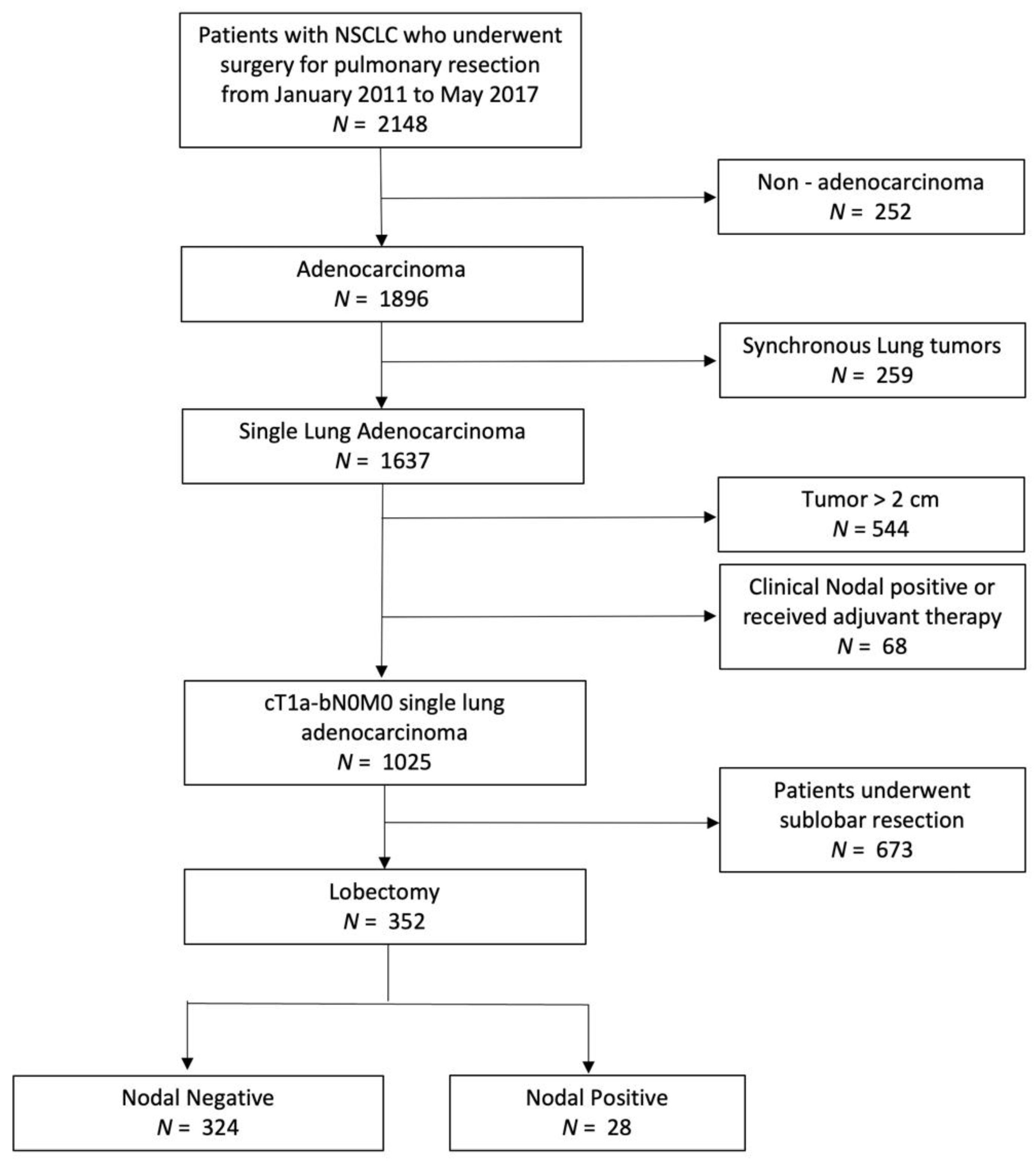Cancers 14 01277 g001 Cancers 14 01277 g001