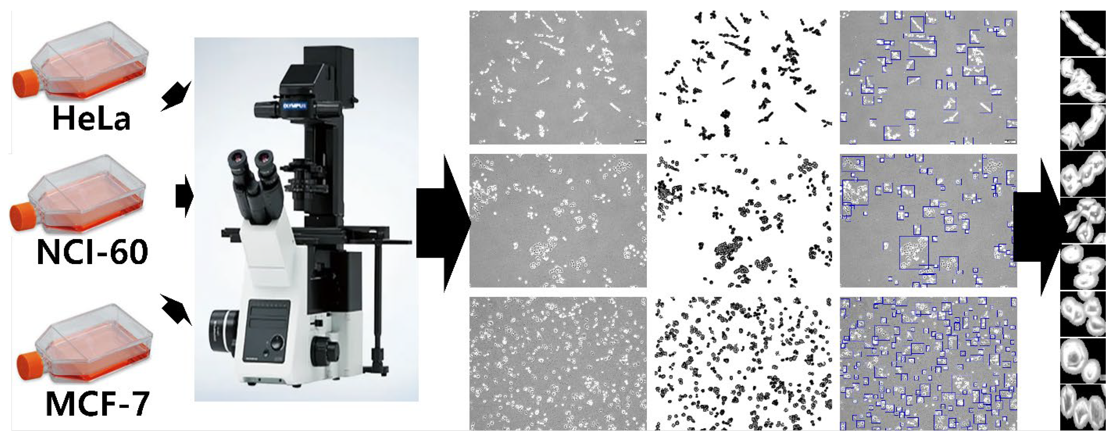 Cancers 14 01280 g001 550