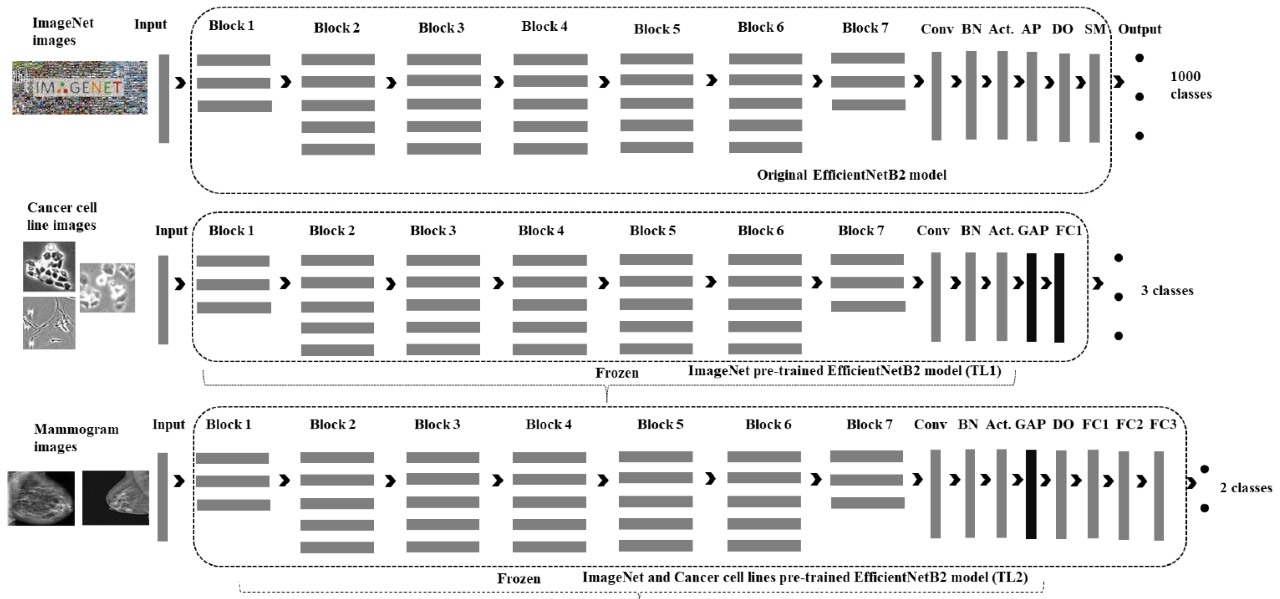 Cancers 14 01280 g003 550