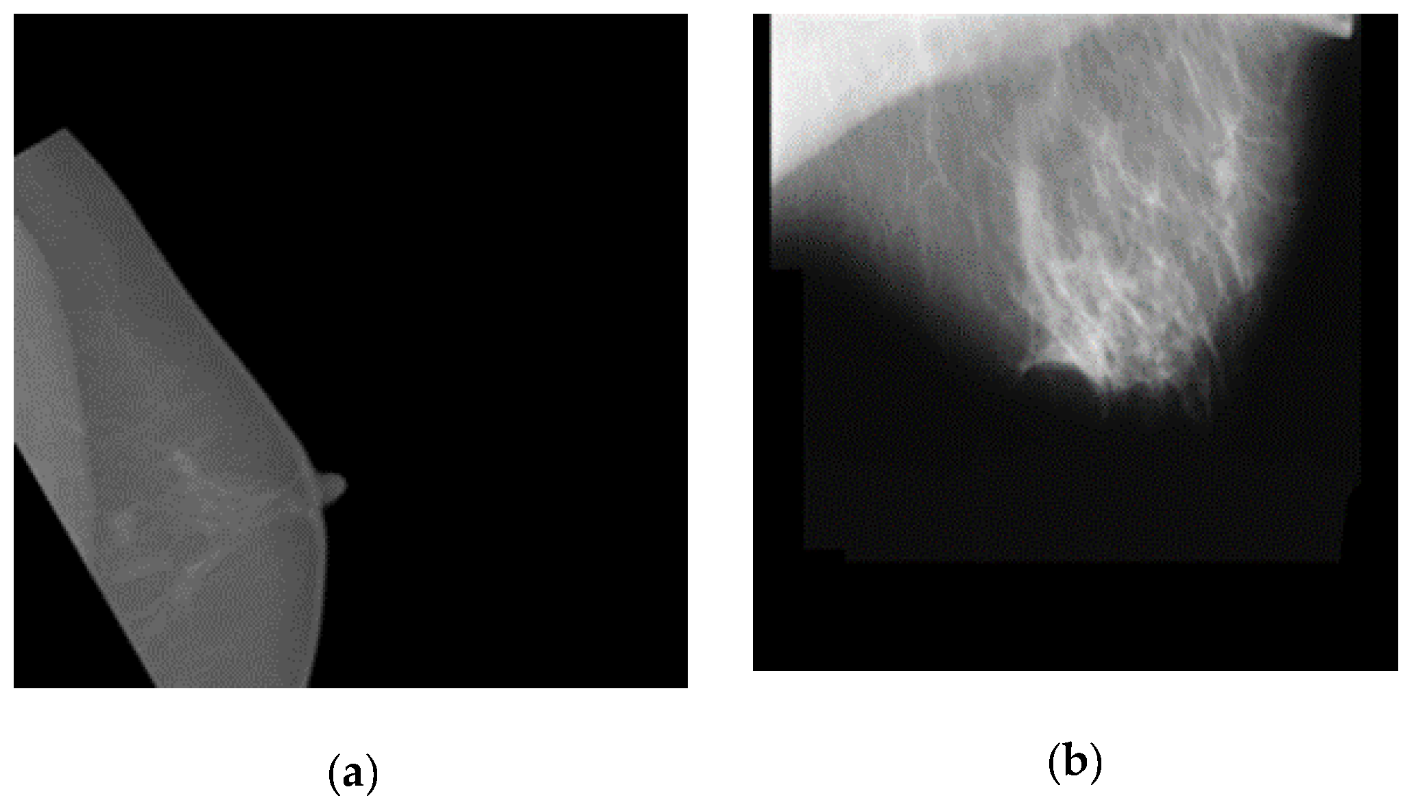 Cancers 14 01280 g005 550